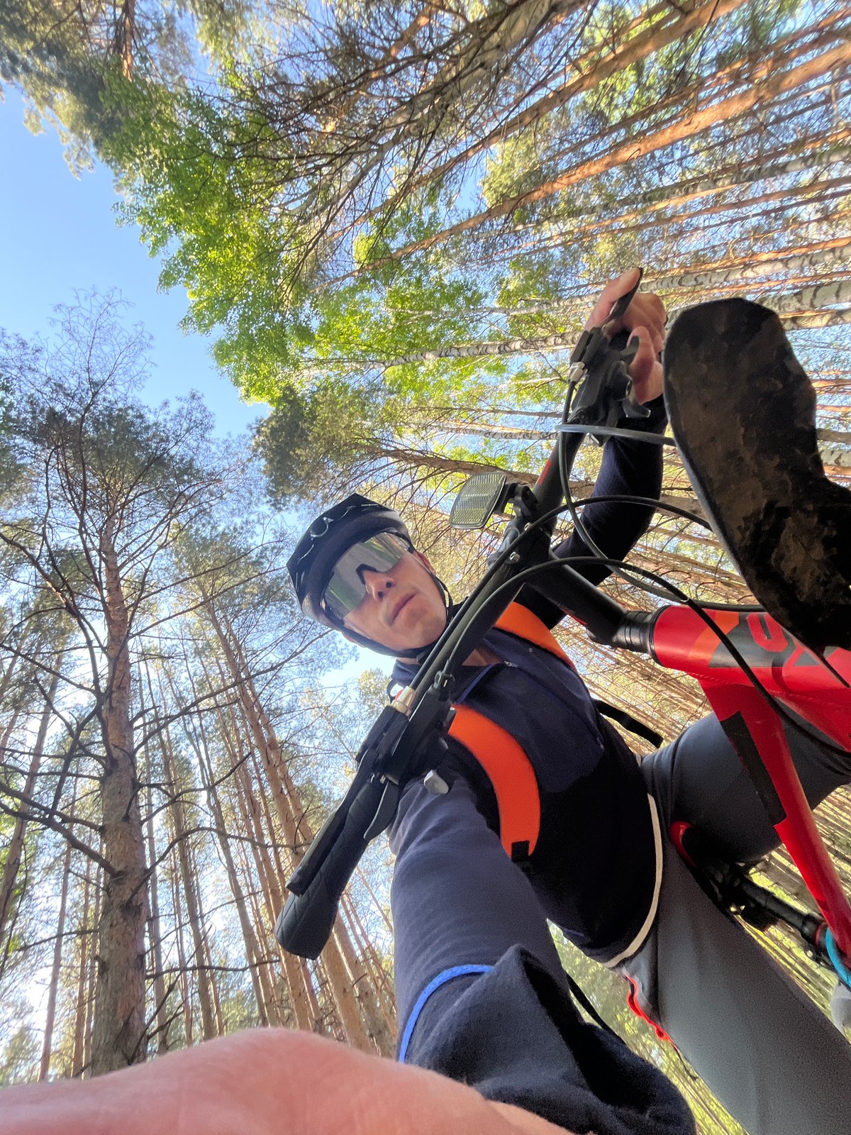 Cyclist documents sunny forest ride near Chaikovsky, Russia