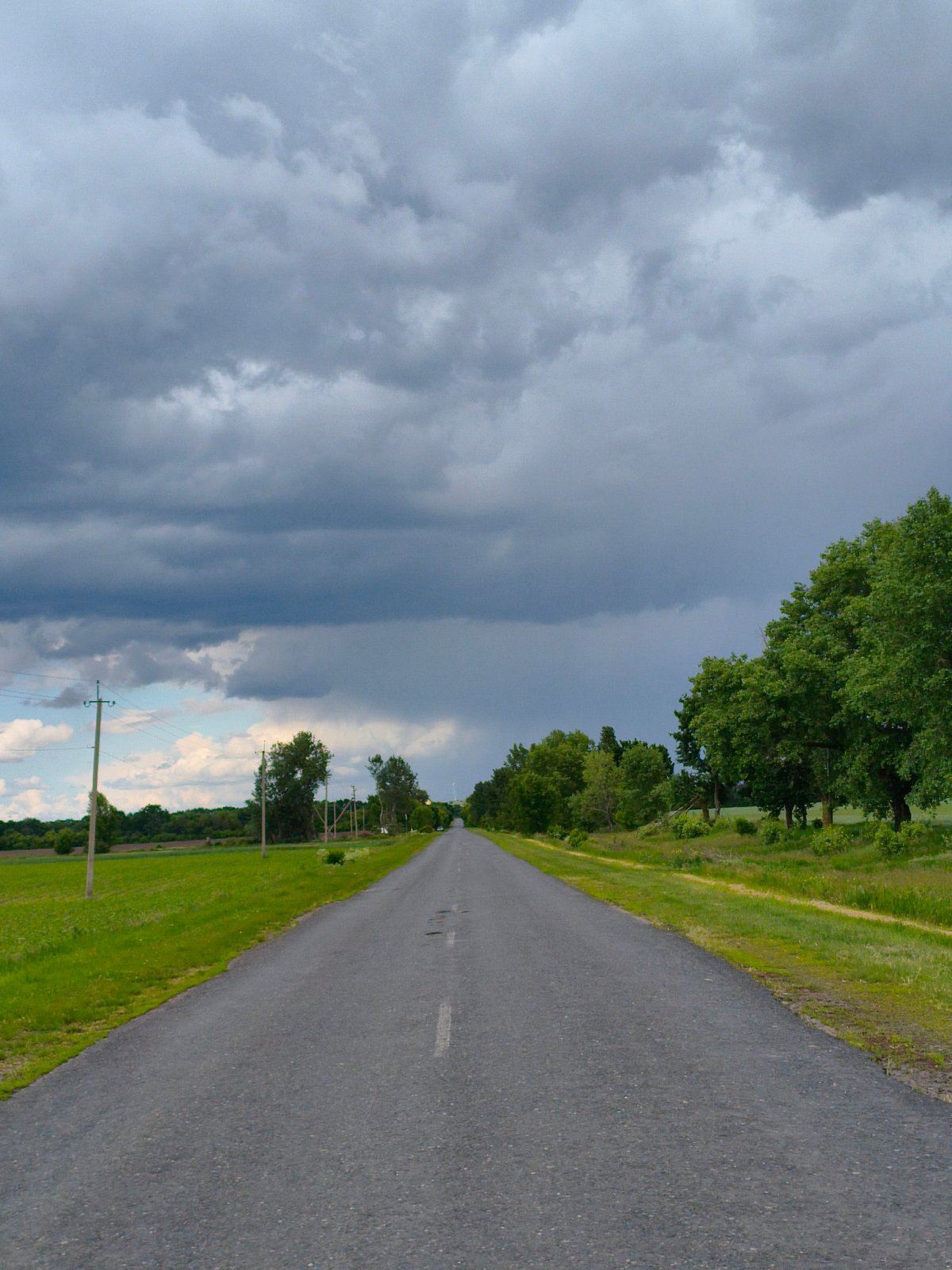 Storm aftermath documented in Ukrainian countryside near Hoholeve