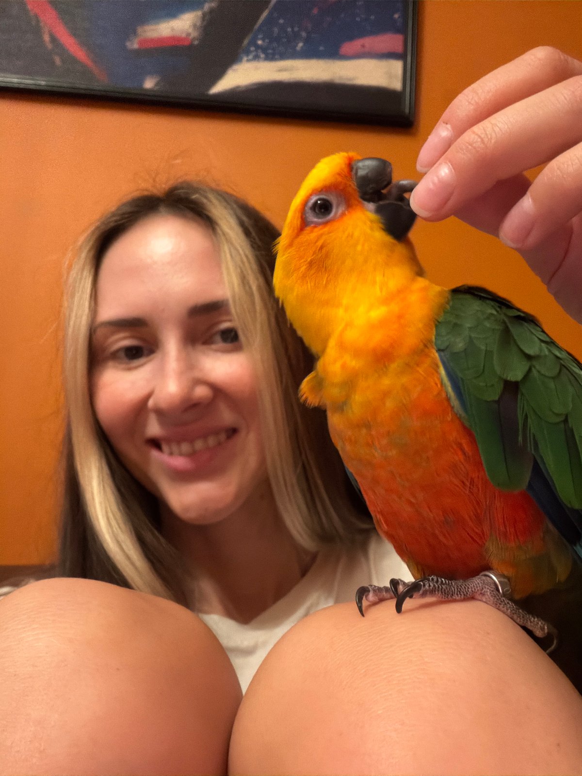 Pets, cityscapes, and a riverside evening in Khimki