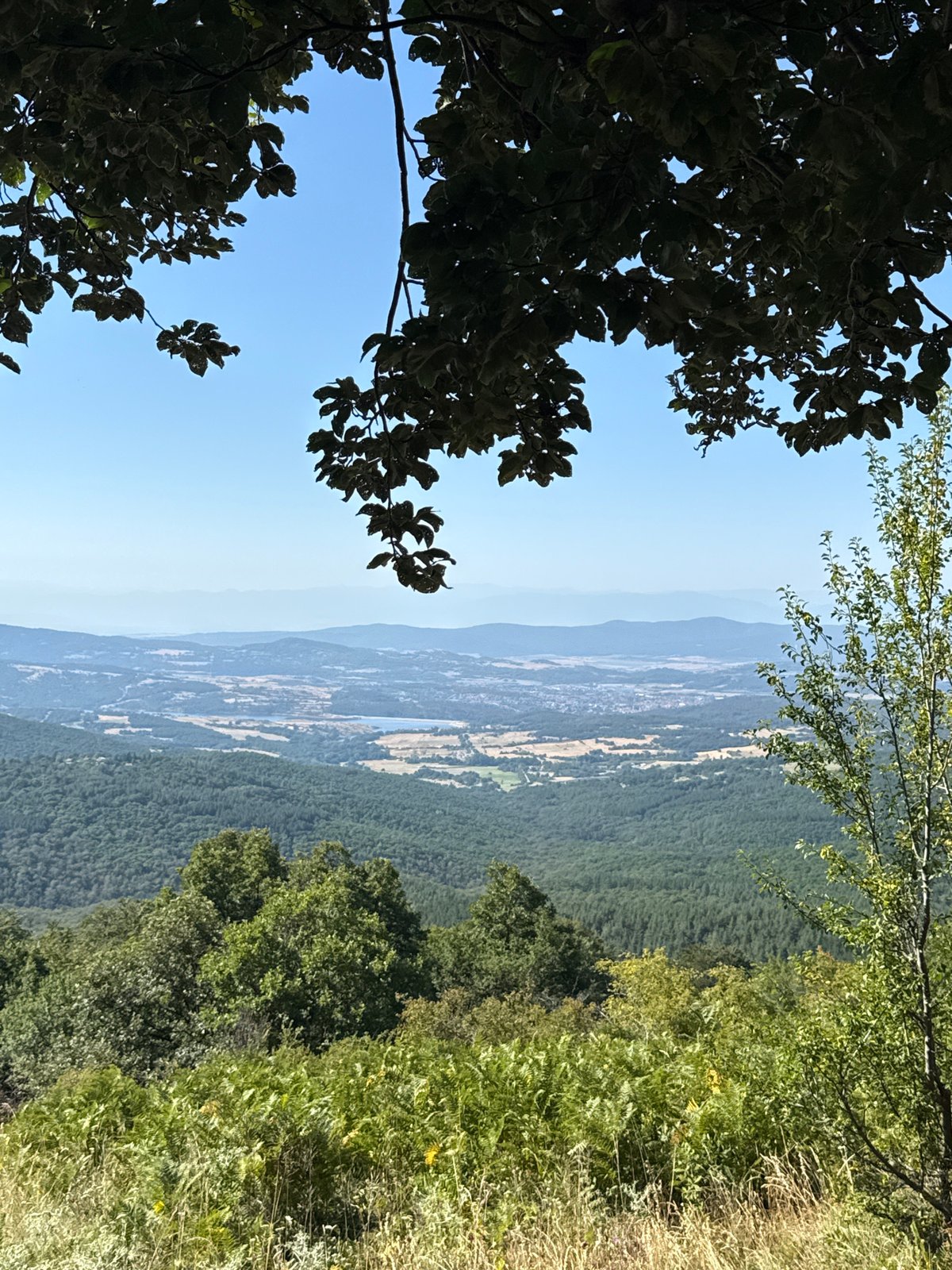 Rolling valley views from a hilltop in rural Bulgaria