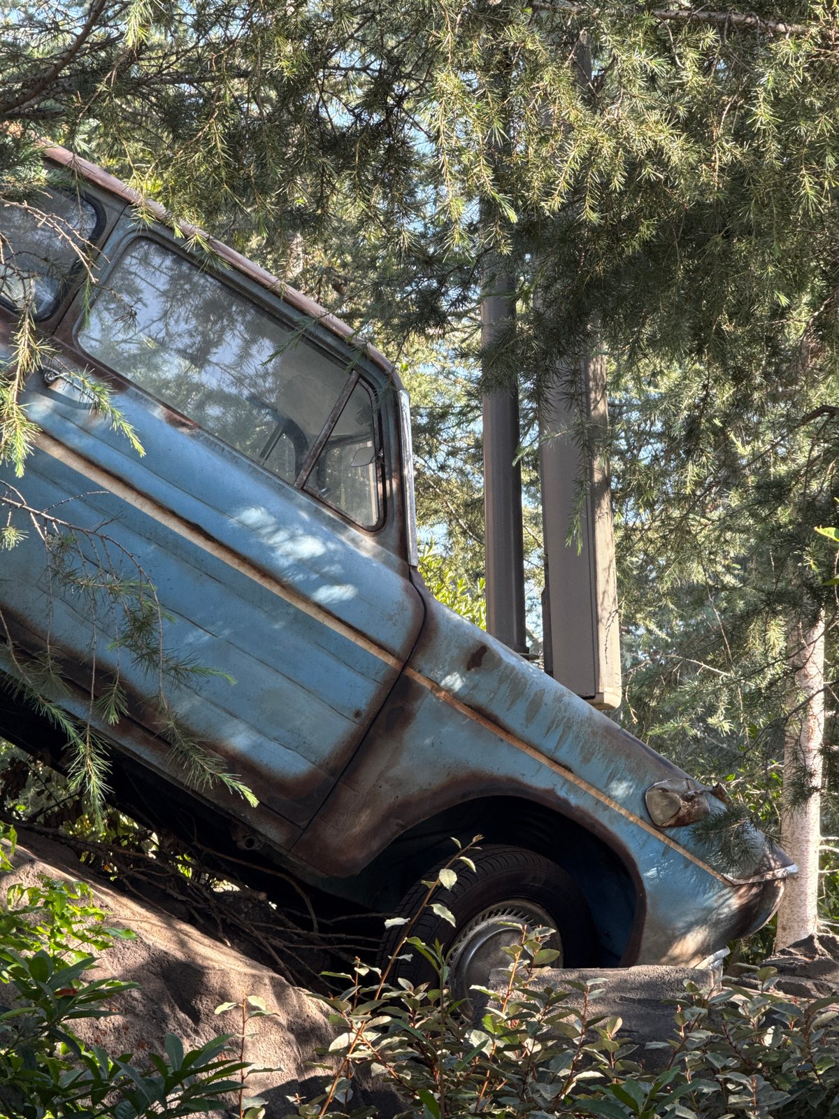 Rusted vehicle found wedged against tree in apparent collision