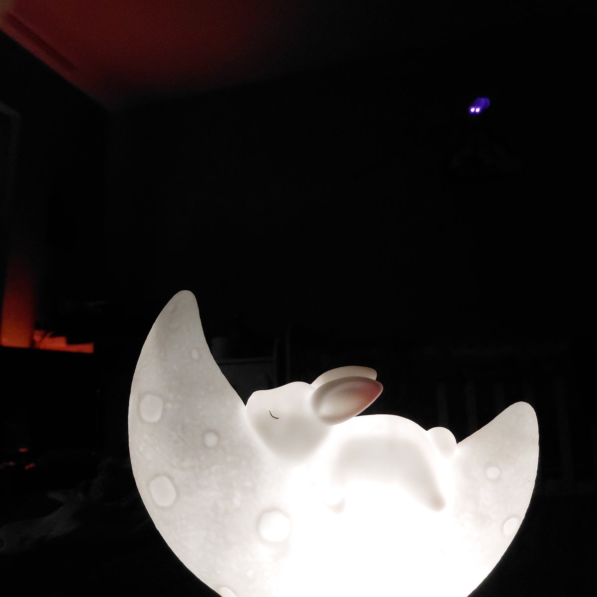 Decorative bunny night light spotted in Varna