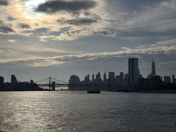 Evening scenes captured across East River: Manhattan skyline, swimming geese