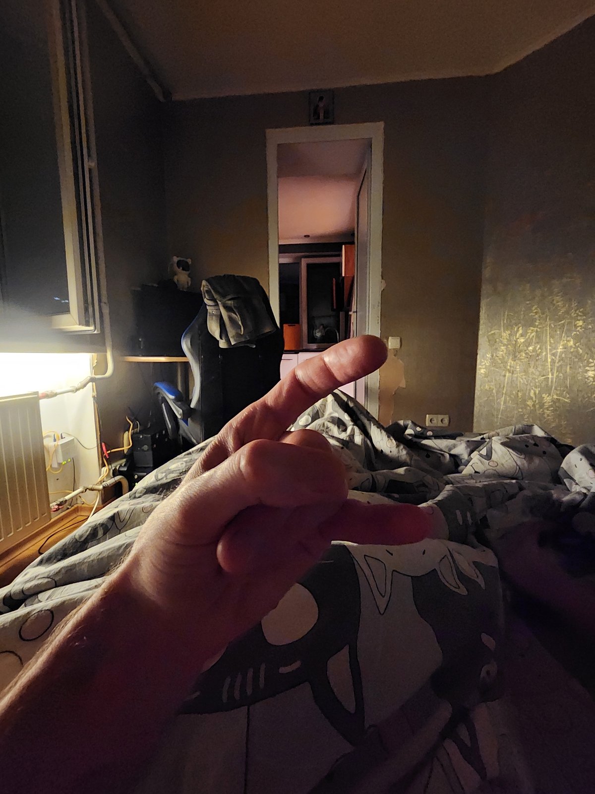 Quiet evening at home in Odesa with a cat and casual snapshots