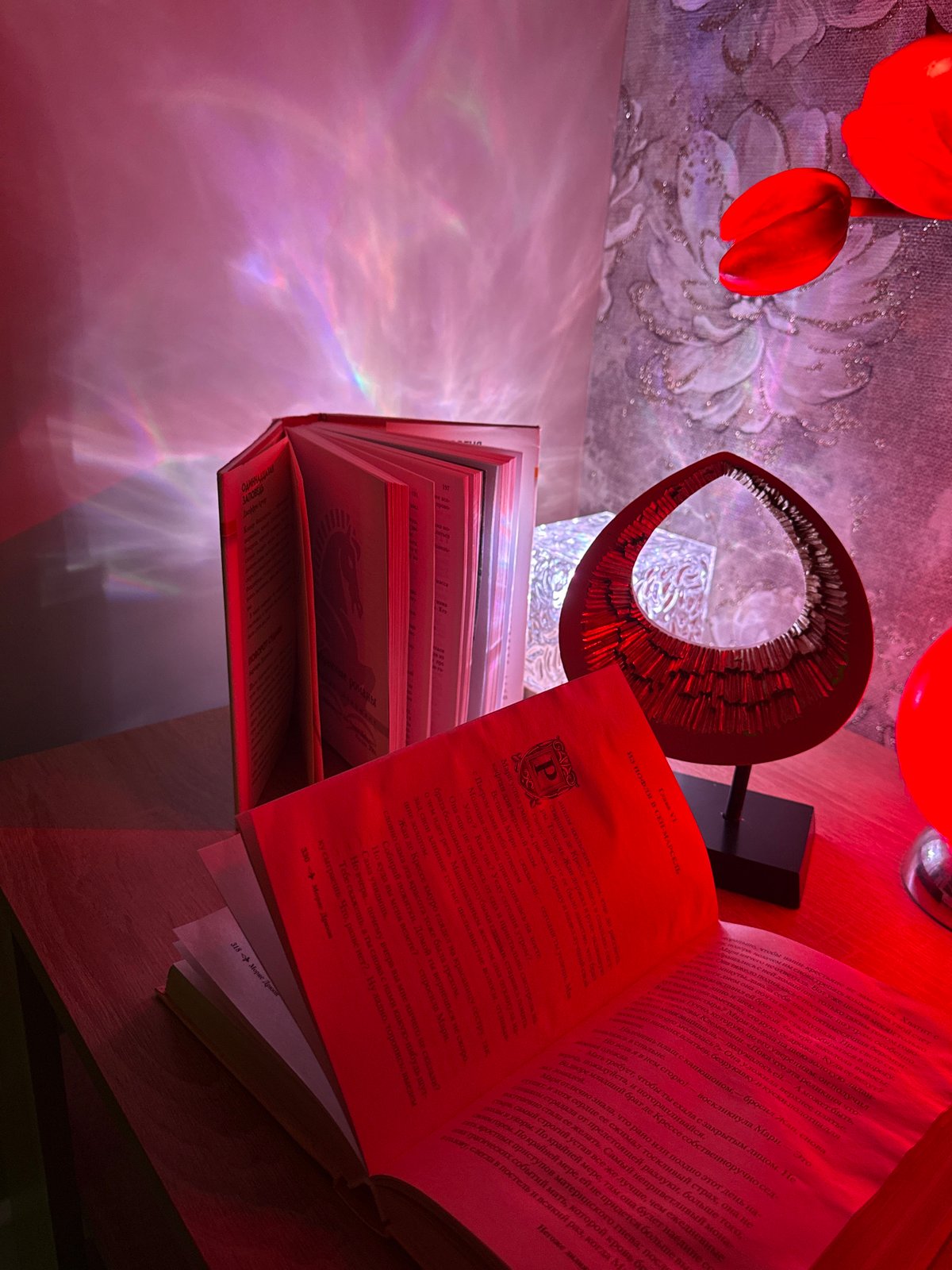 Evening reading scene captured with colorful ambient lighting