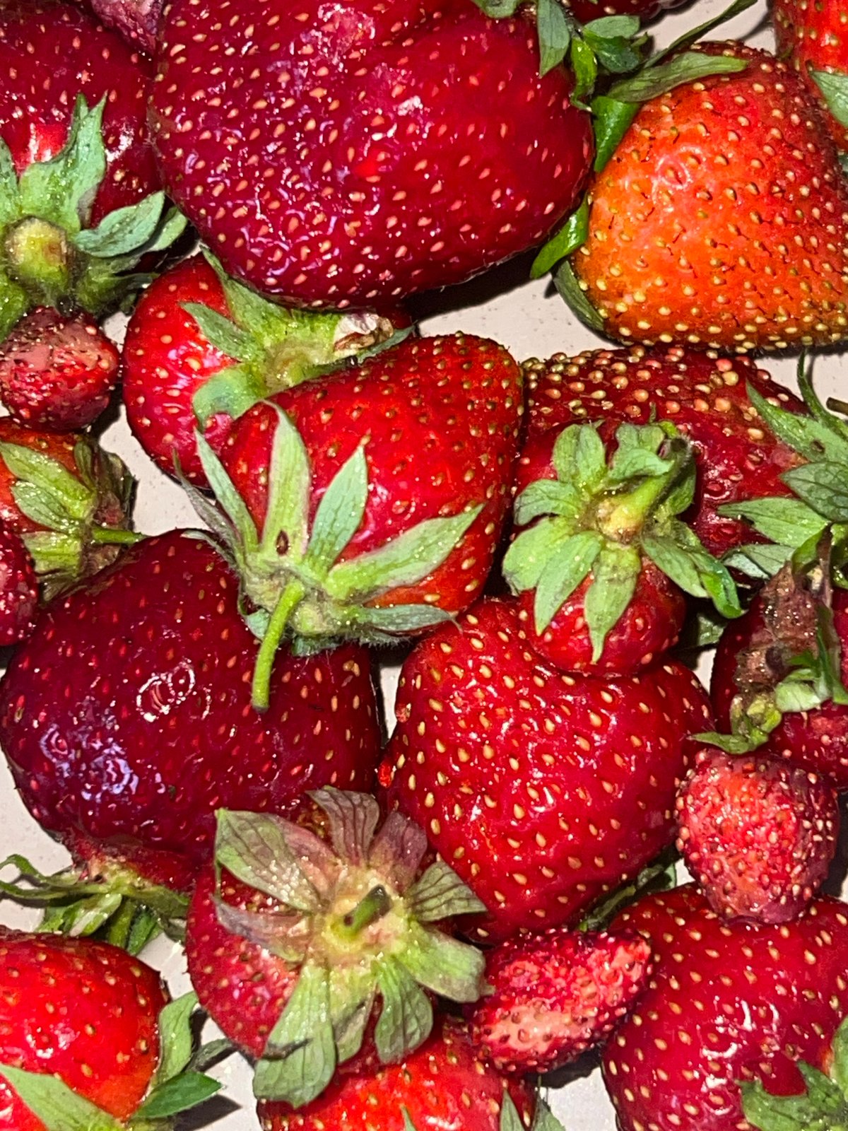 Fresh summer berries laid out in Votkinsk, June