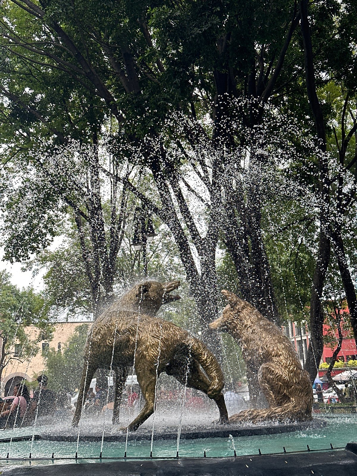 Evening walk captures Mexico City fountain, door, churro sign