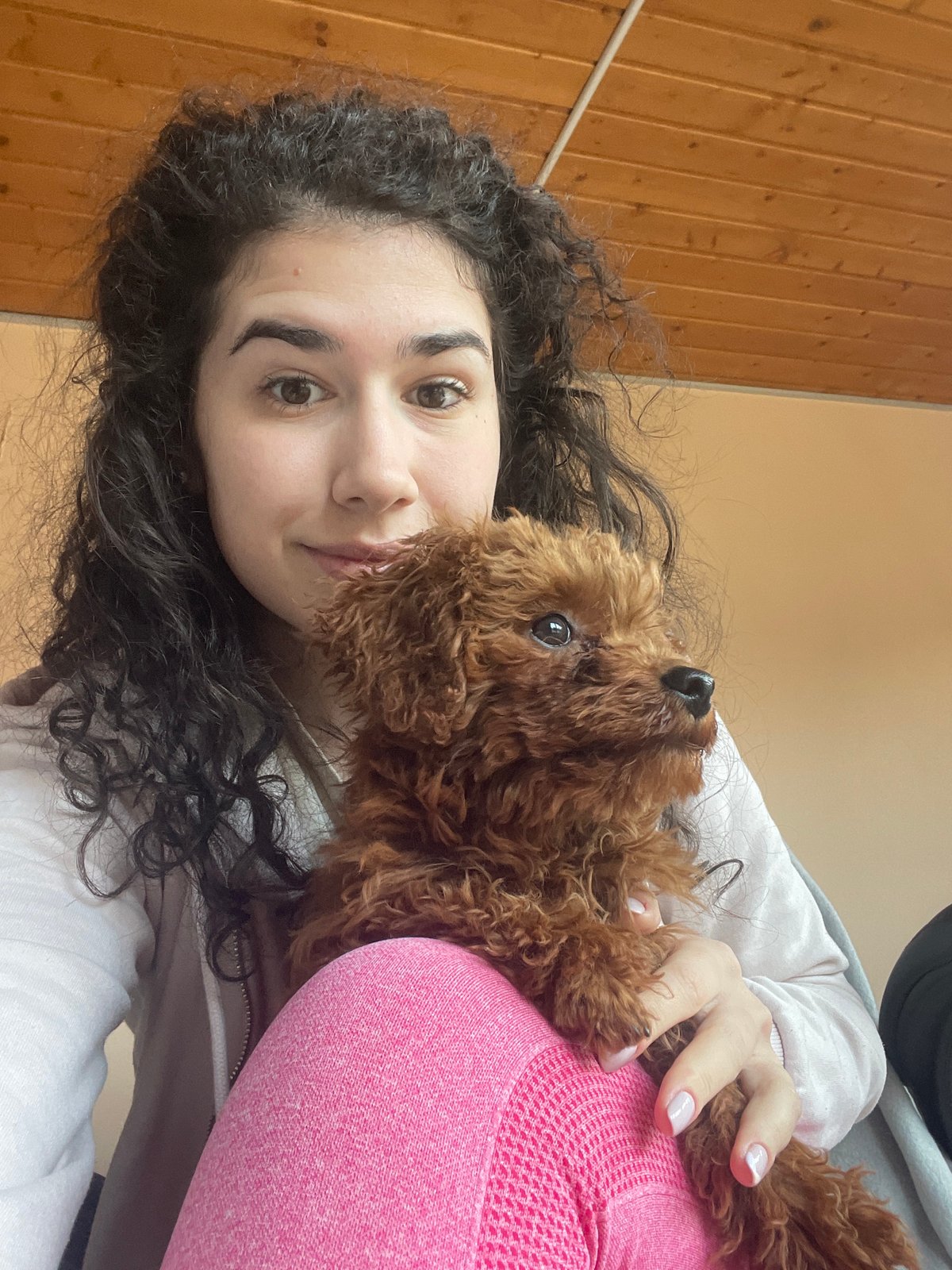 Woman walks poodle in sweater through Sofia garden