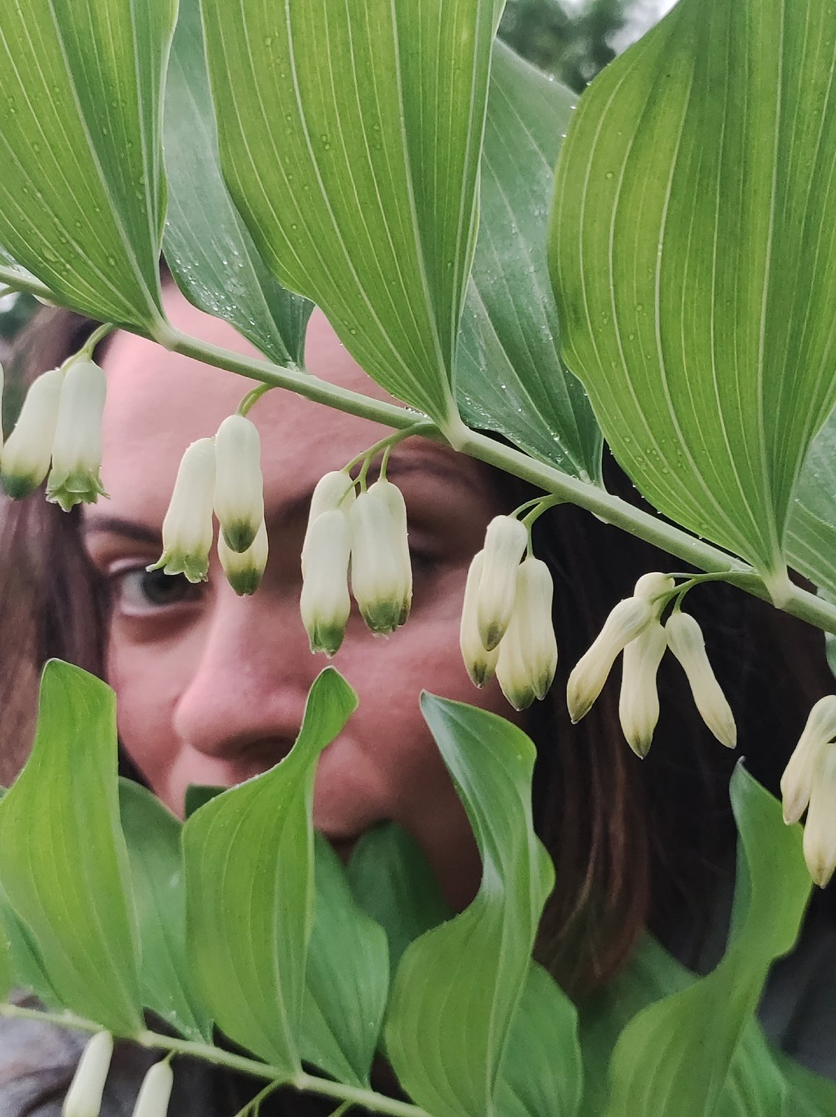 Woman forages plants in Russian town under overcast skies
