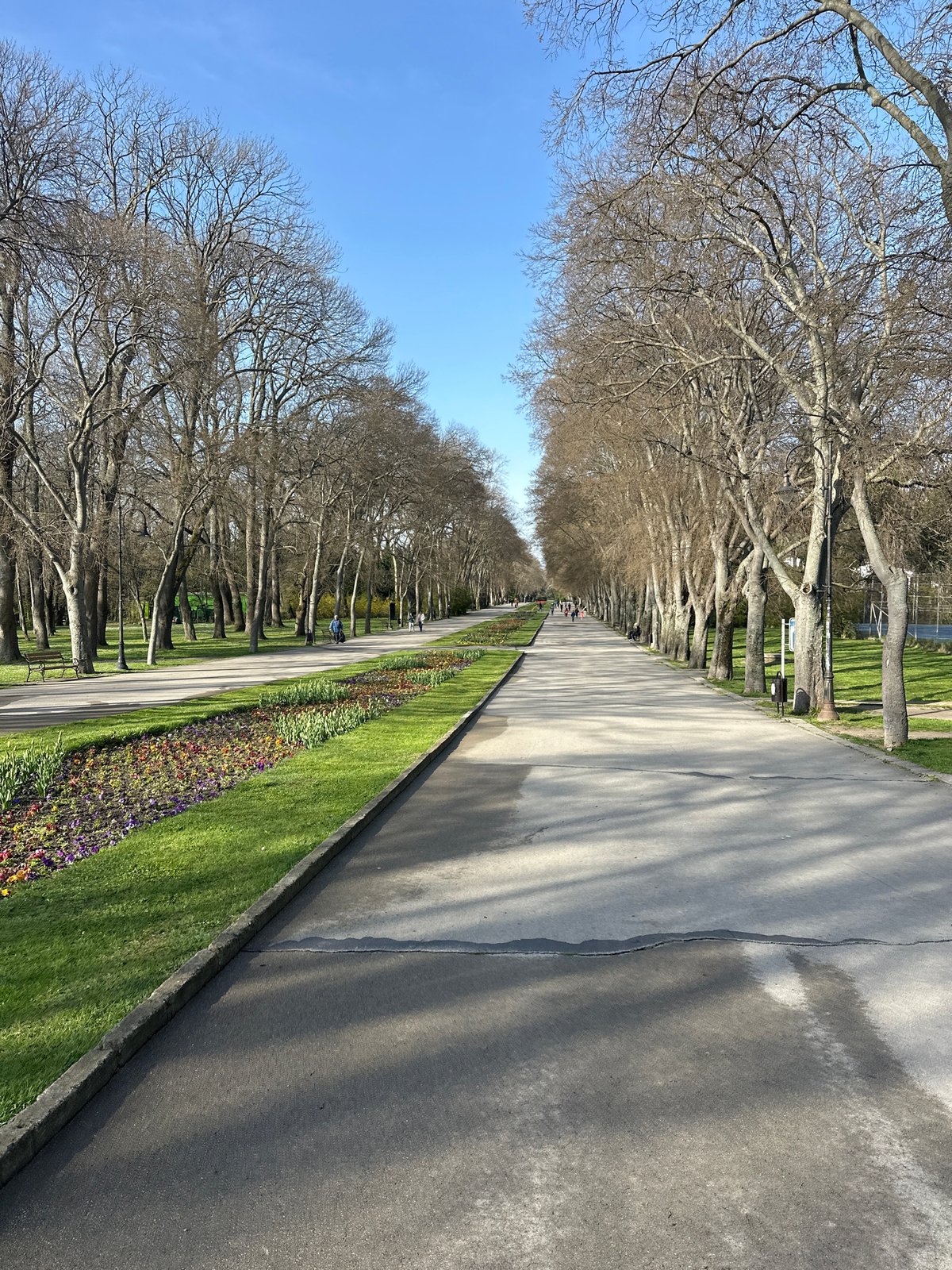 Morning scene captured along tree-lined park avenue in Varna