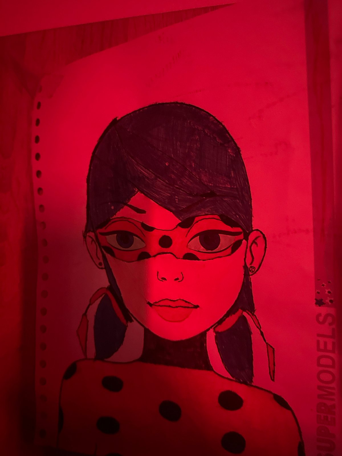 Collector documents anime figurines and personal items under colored lighting
