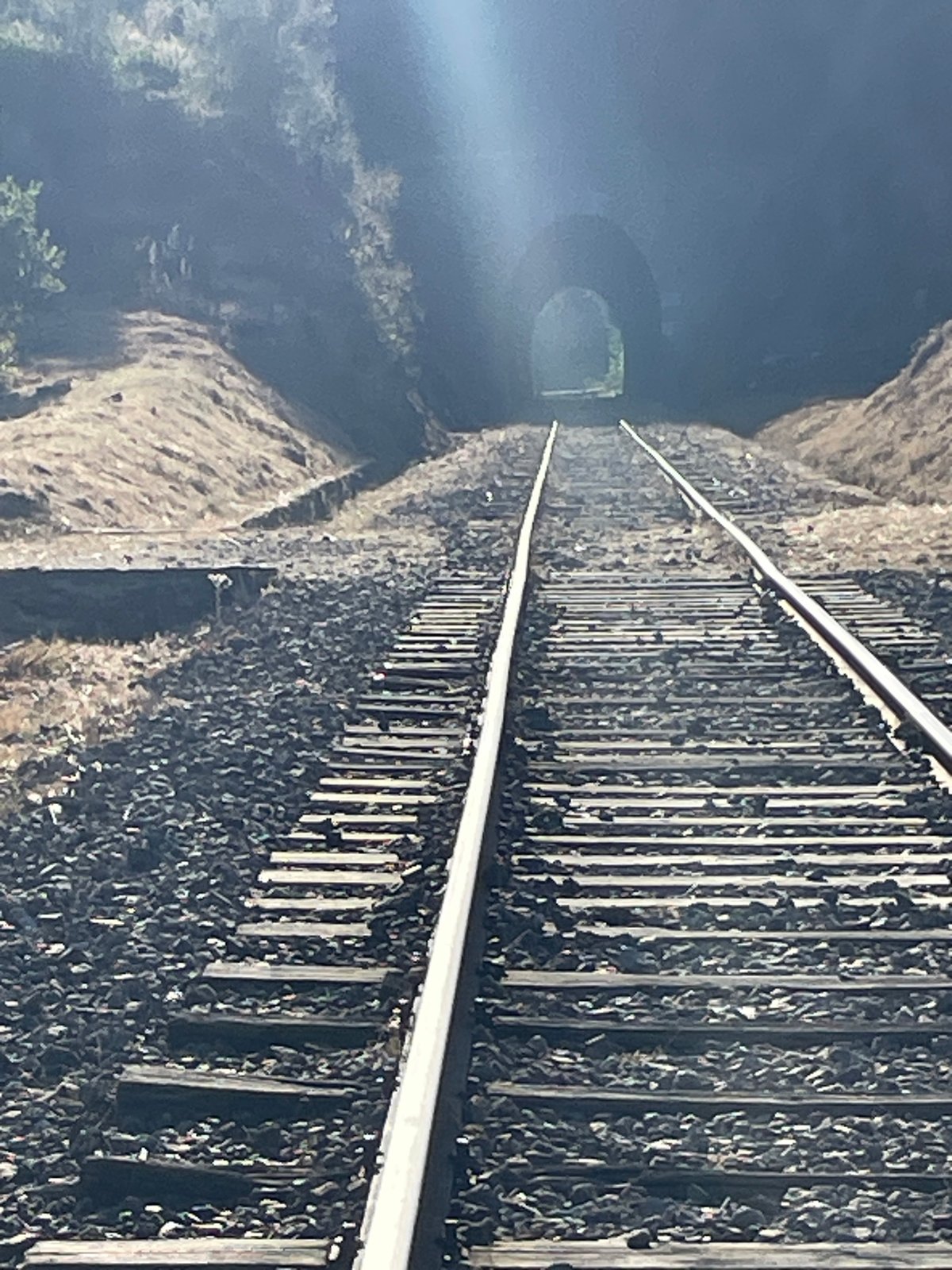 Afternoon at a mountain railway gorge with tunnels, river, and swimming