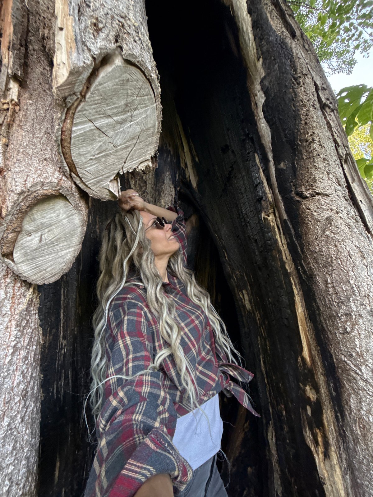 Person rests inside hollow tree trunk in rural Russia