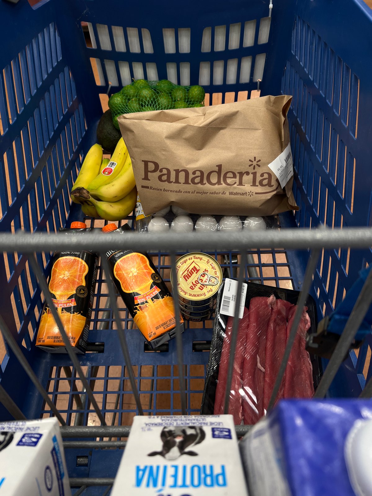Grocery shopping cart photographed at Mexico City supermarket