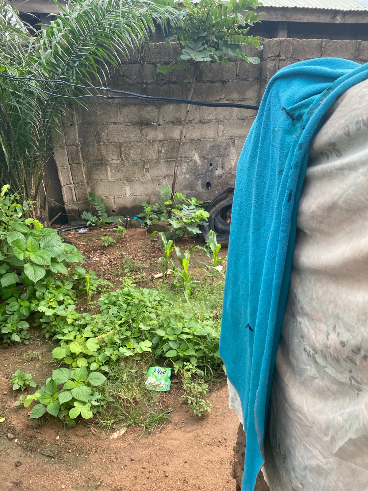 Inside a Jalingo compound: tools, firewood, and daily household scenes