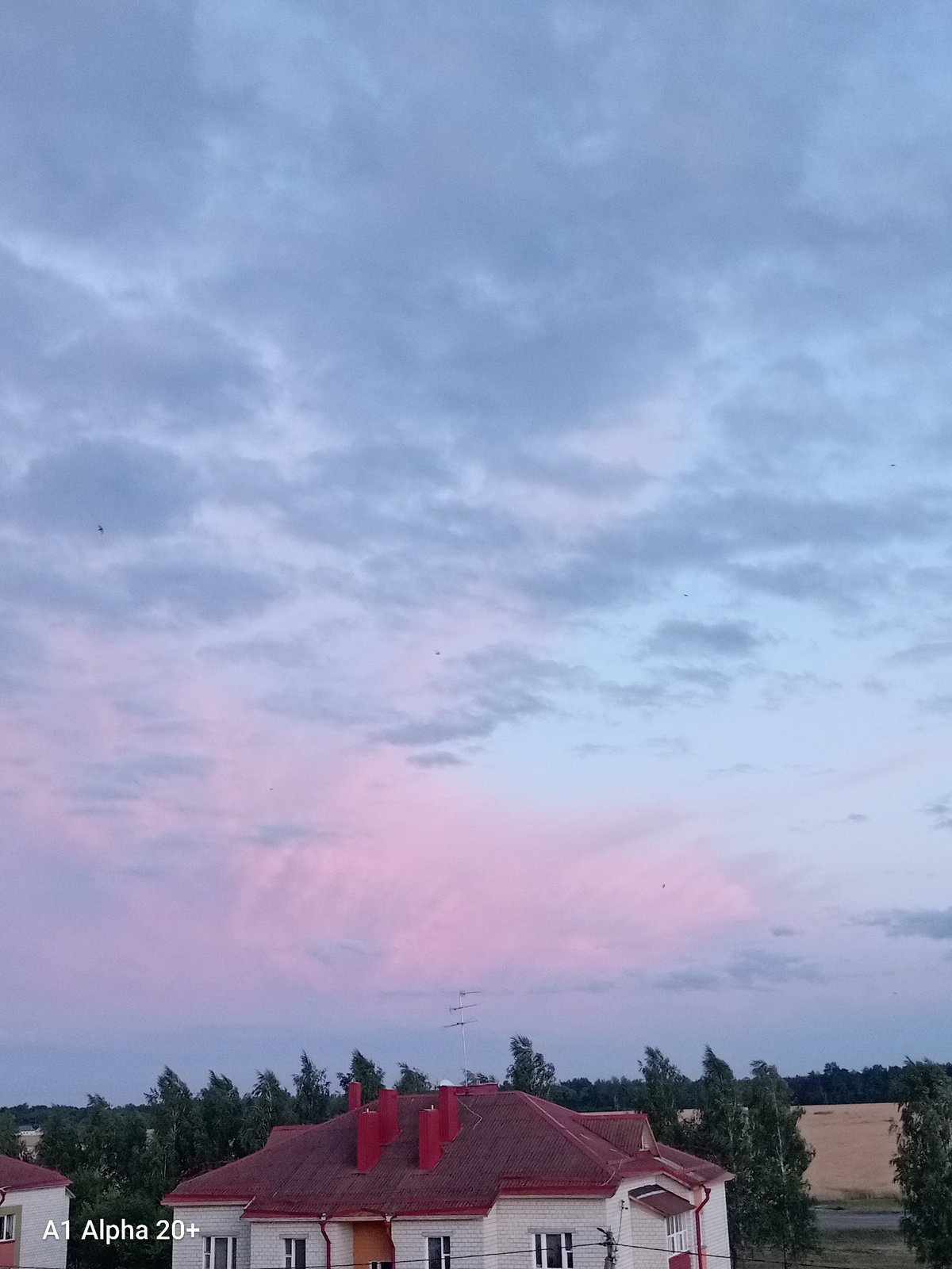 Pink sky over a quiet Belarusian village at dusk