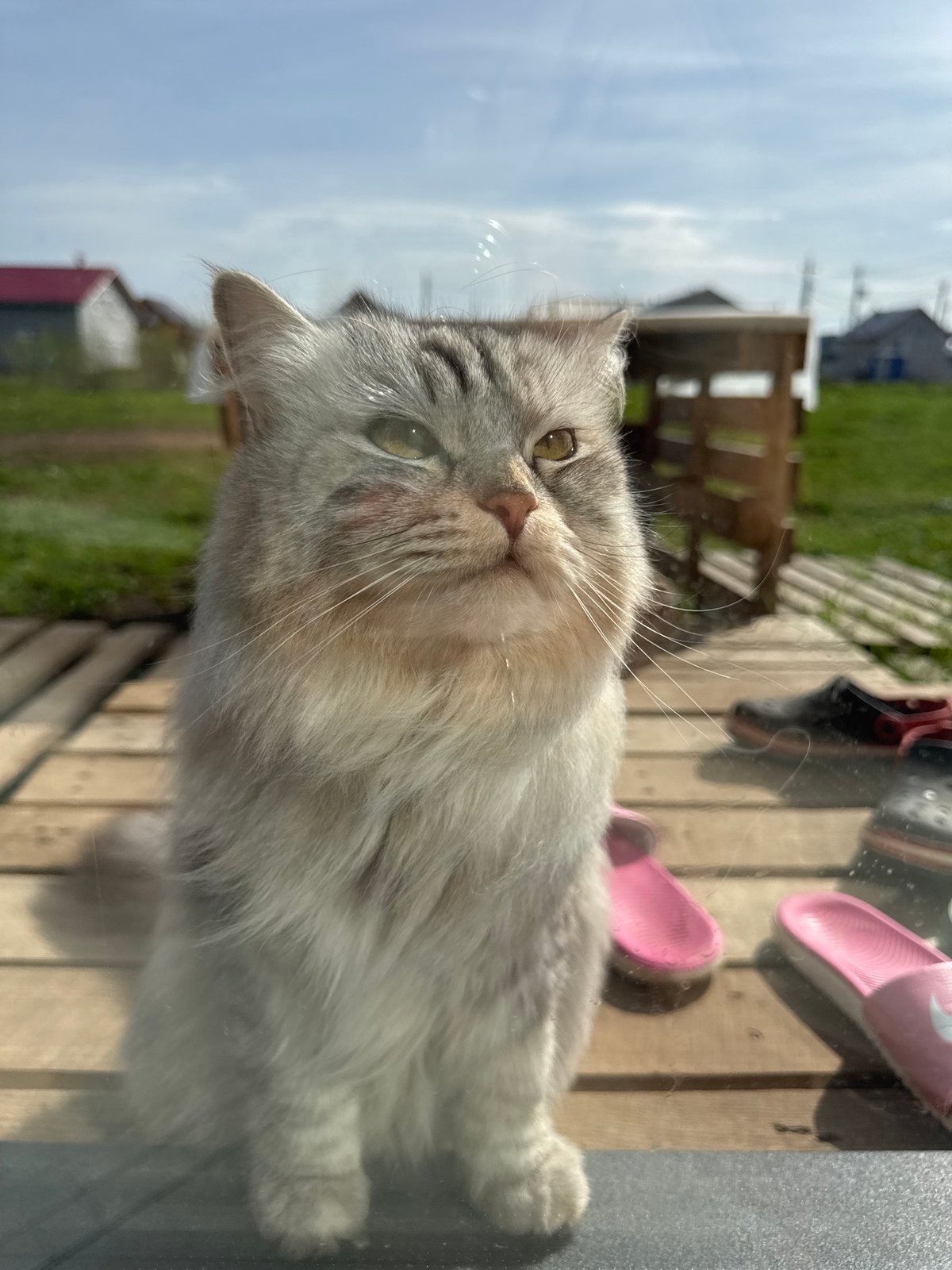 Child works on craft project while cat watches in Russia