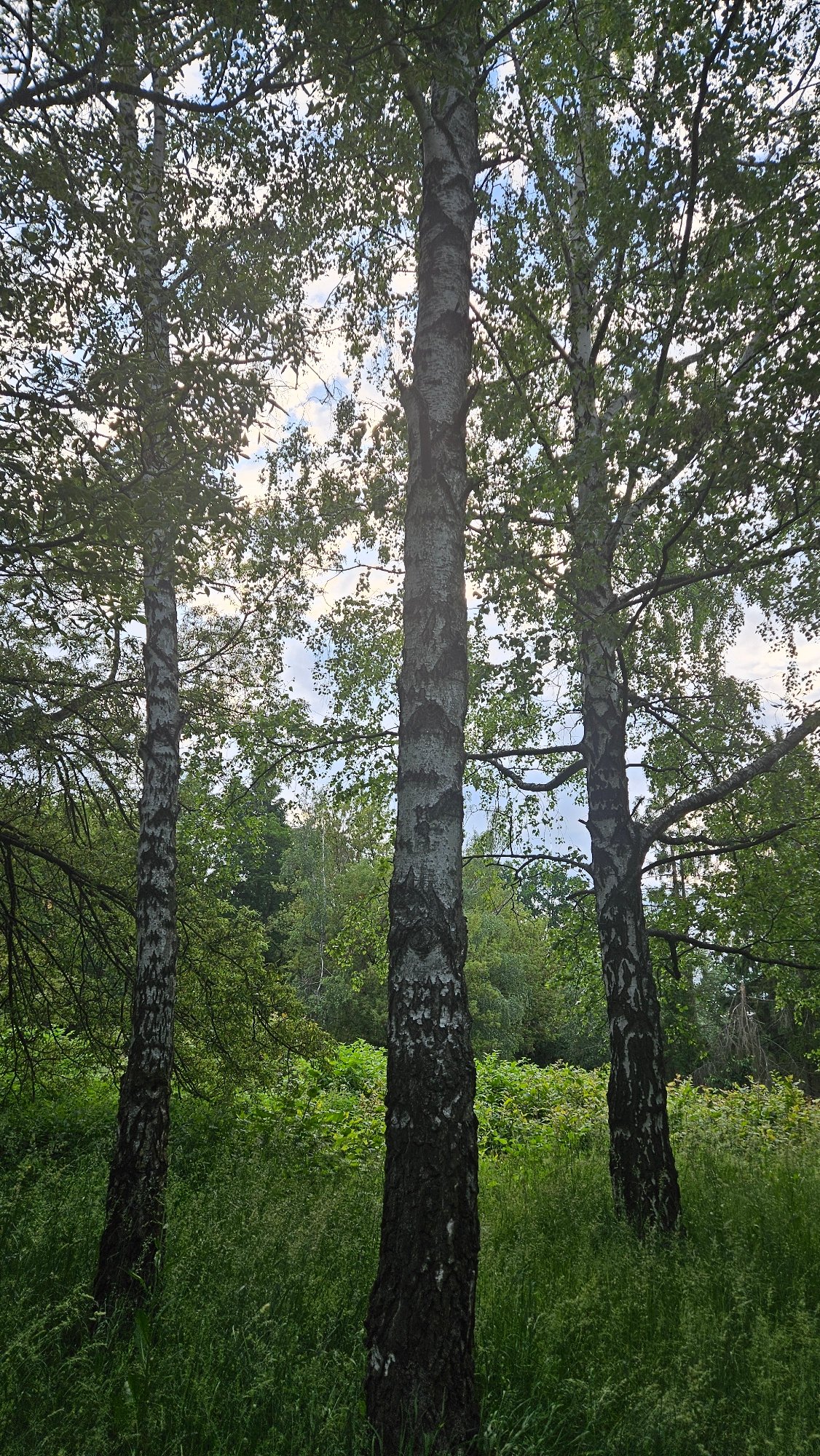 Afternoon stroll through Prešov parks and waterfront documented