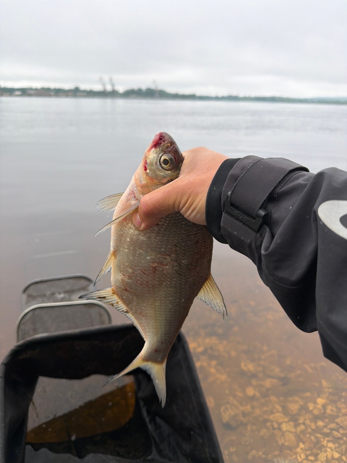 Early morning fishing activity documented in Chaikovsky, Russia