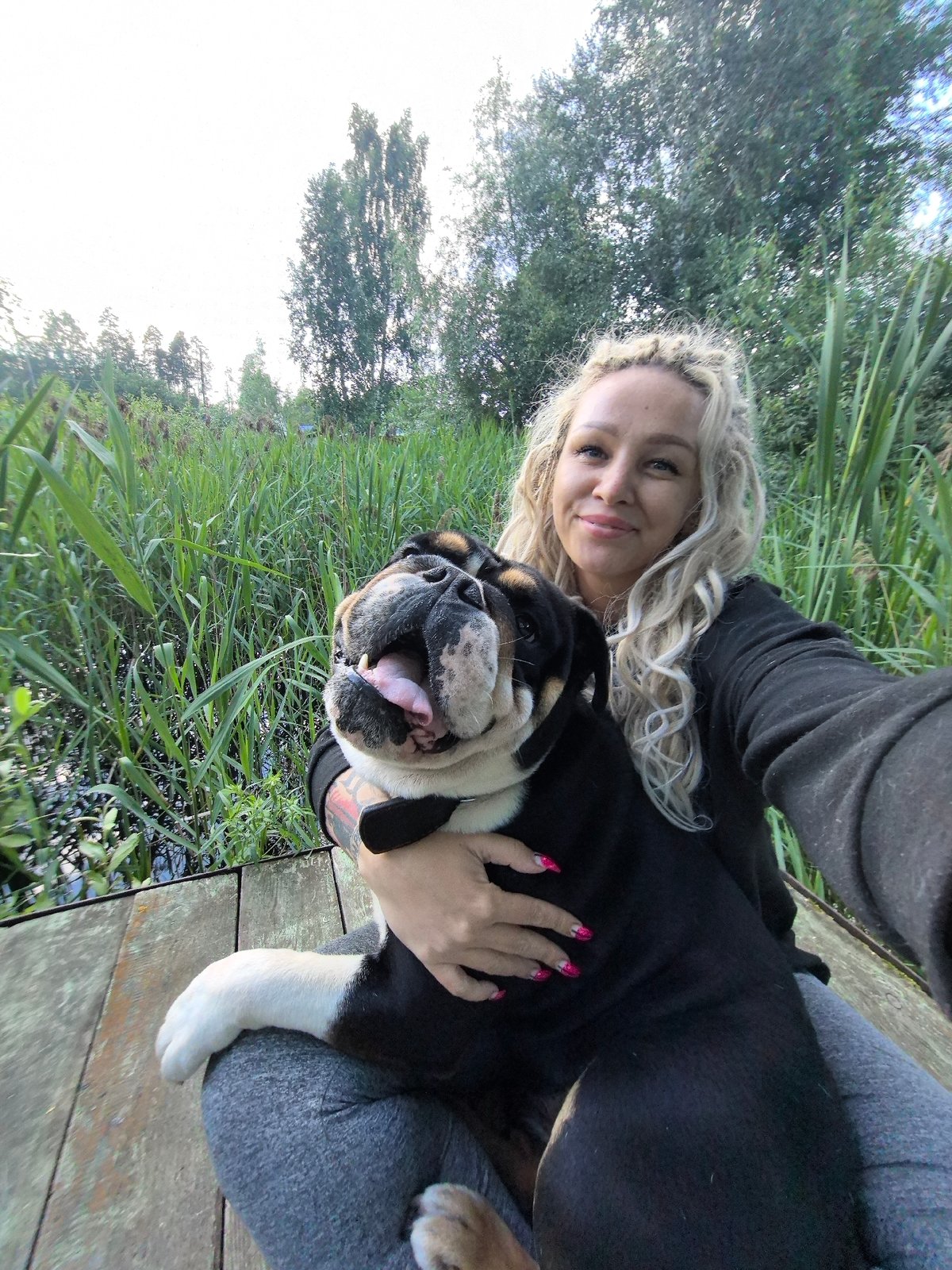 Afternoon on a Russian deck with a bulldog and a vivid sunset sky