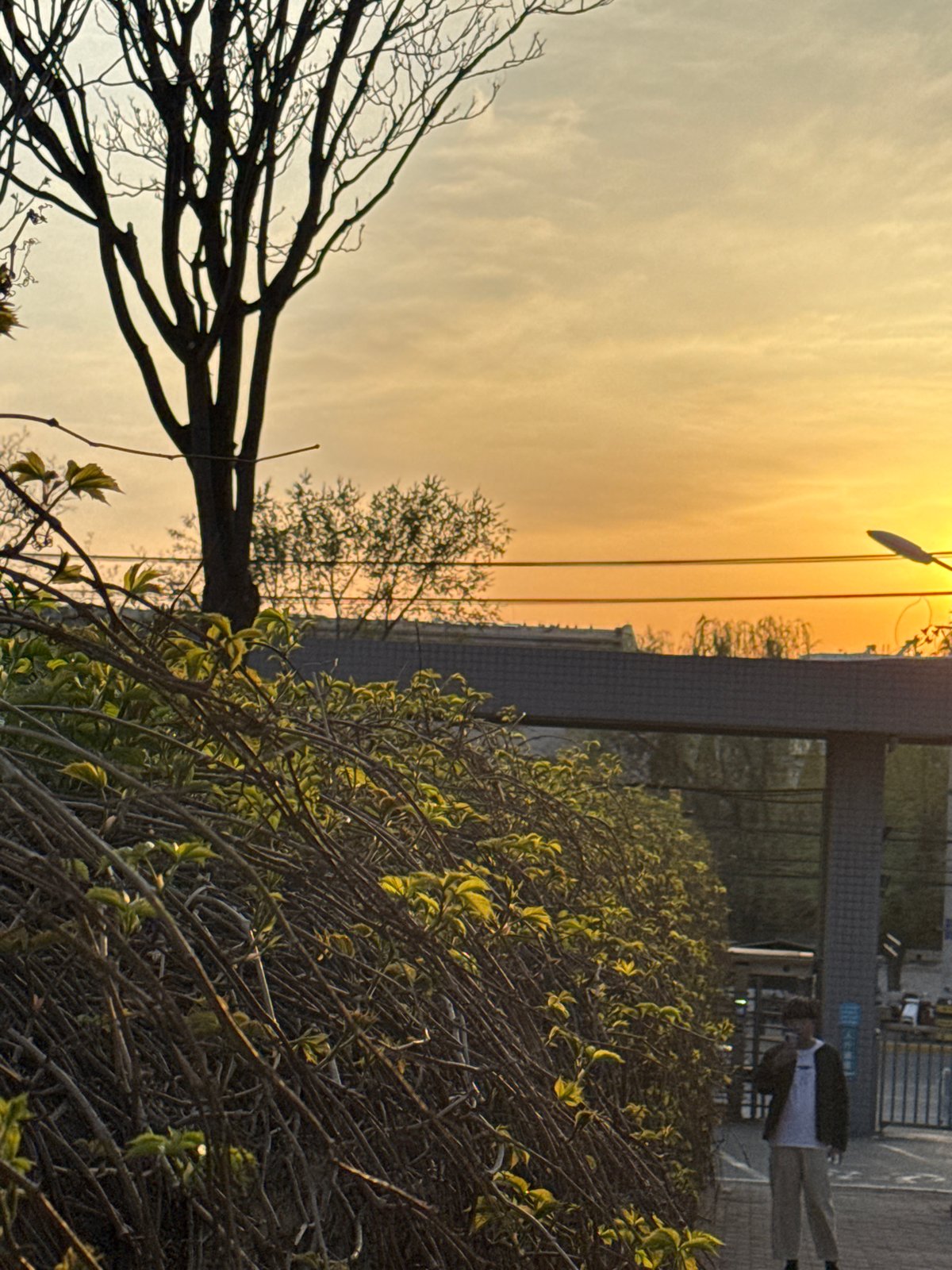Daily life moments captured across Zhongtun streets during sunset