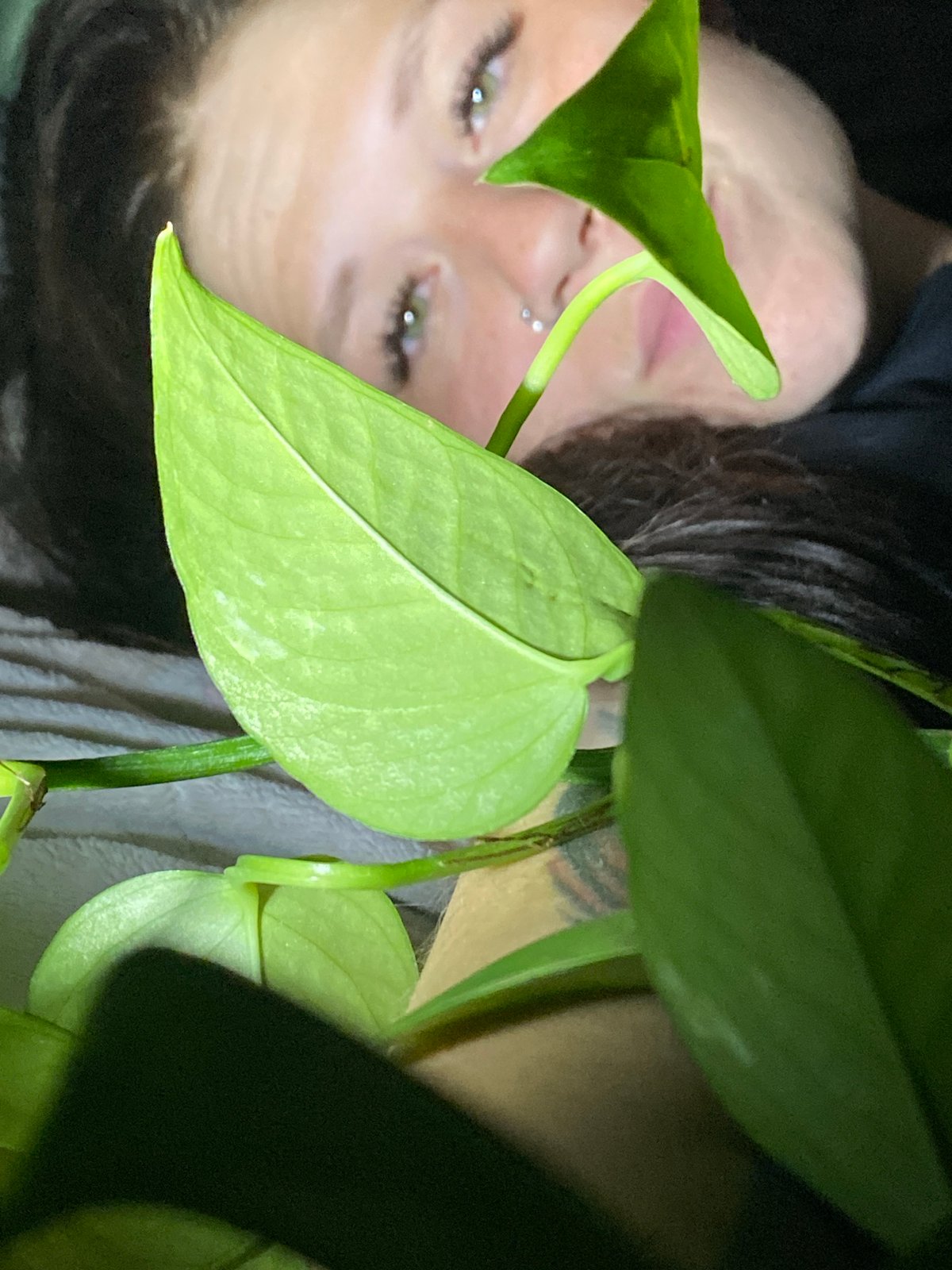 Chaikovsky self-portrait session with plants, drinks, and texture