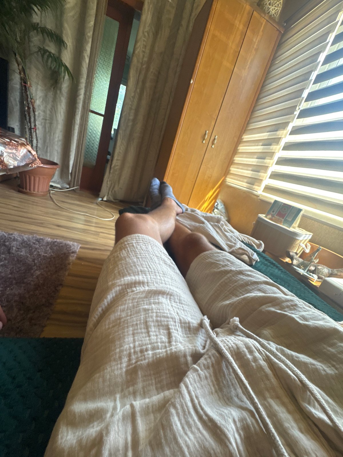 Lazy afternoon on the couch with a sleepy dog in Sofia