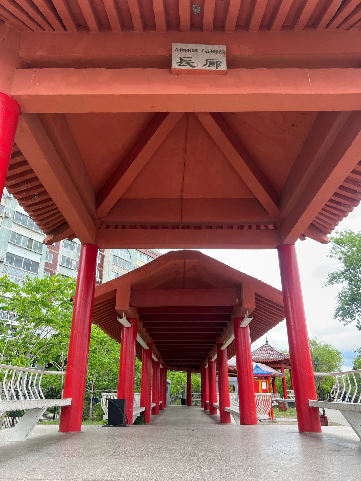 Woman documents casual park visit and fast food stop