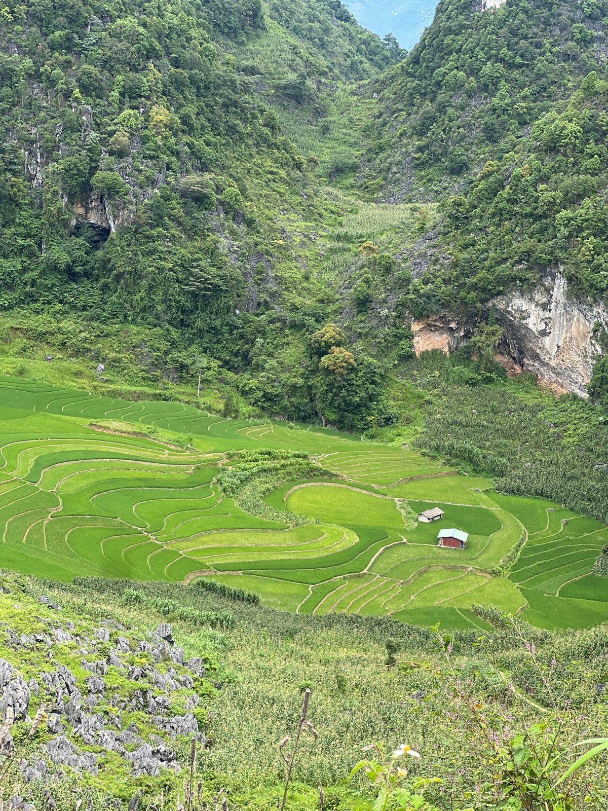 Rice terraces, karst peaks, and mountain roads in Đồng Văn