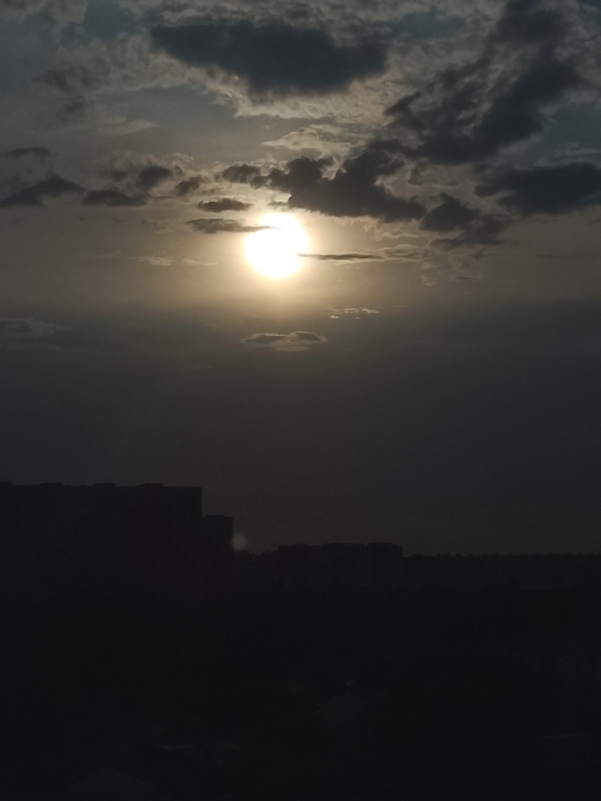 A casual Almaty evening: cats, skylines, and everyday odds and ends