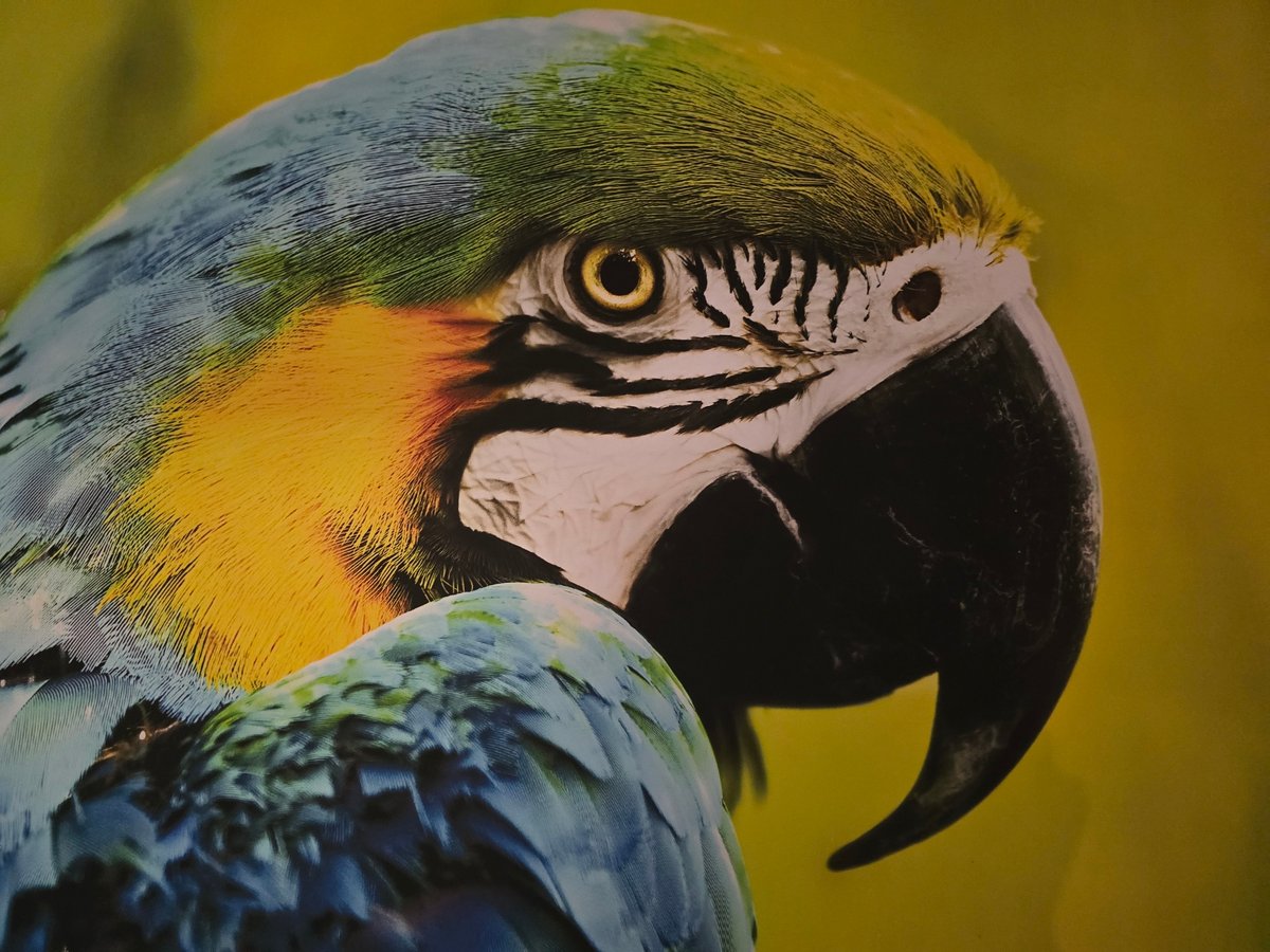 Urban observations span wildlife, art, everyday moments across unknown locations