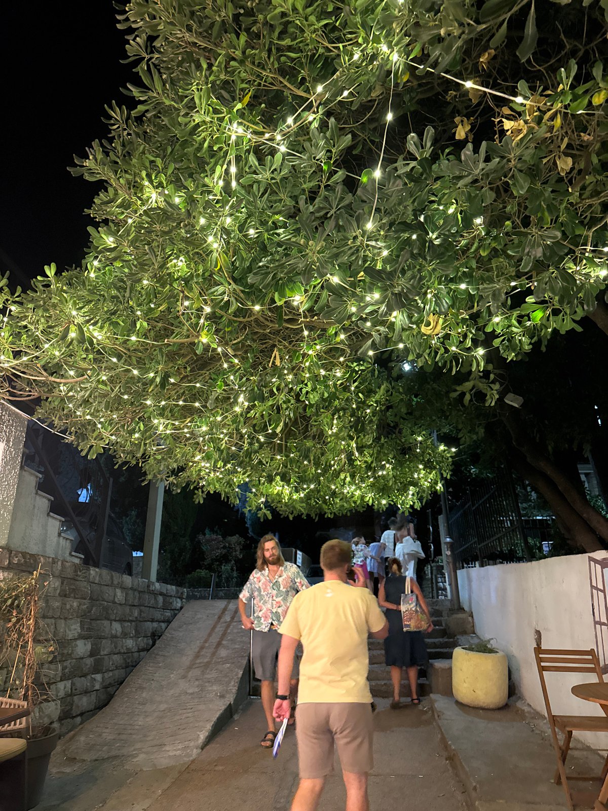 Fairy lights and a street cat on a Montenegrin summer night