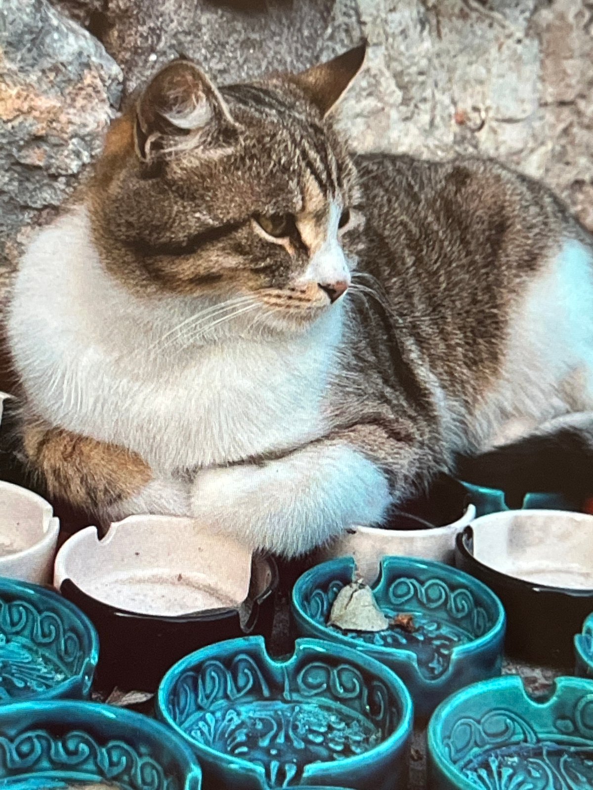 Lazy afternoon browsing a Mediterranean coastal town's market stalls