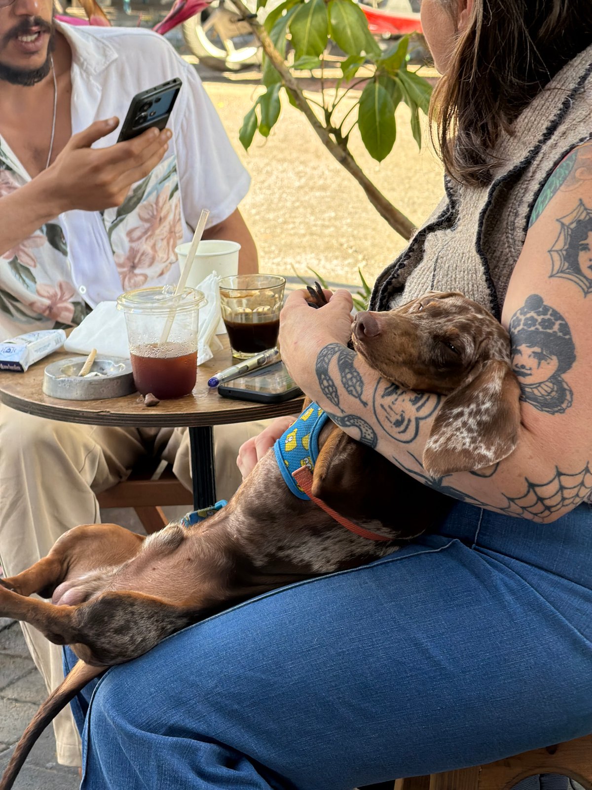 Everyday street life documented across Tel Aviv neighborhoods