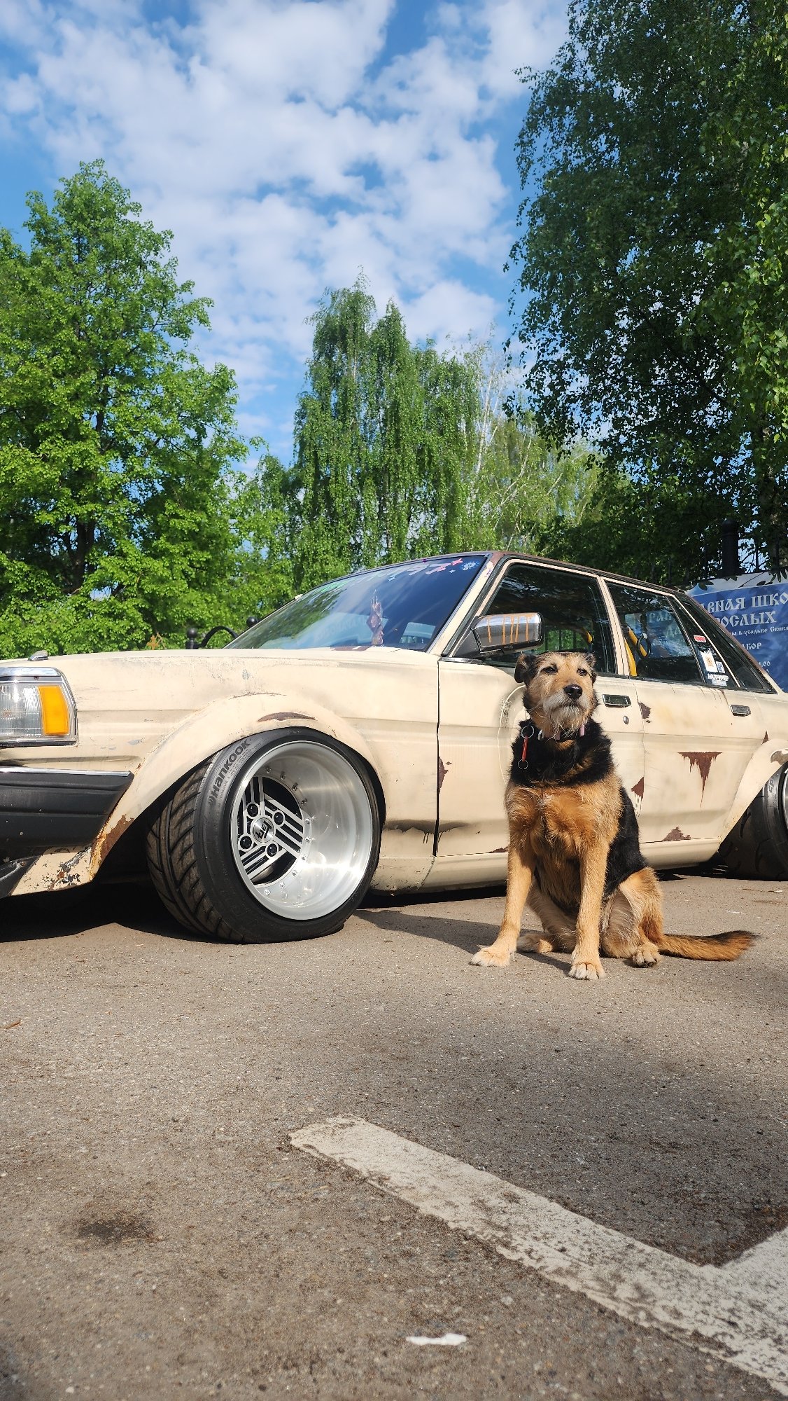 Moscow resident documents morning routine with dog, cityscape views