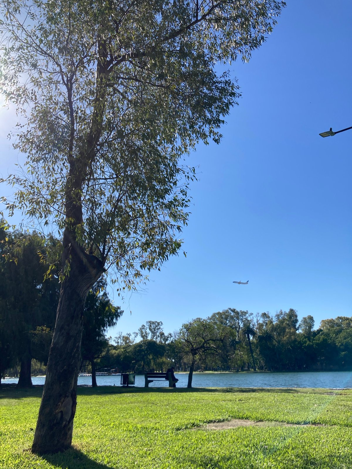 Peaceful park scene documented in sunny Buenos Aires afternoon