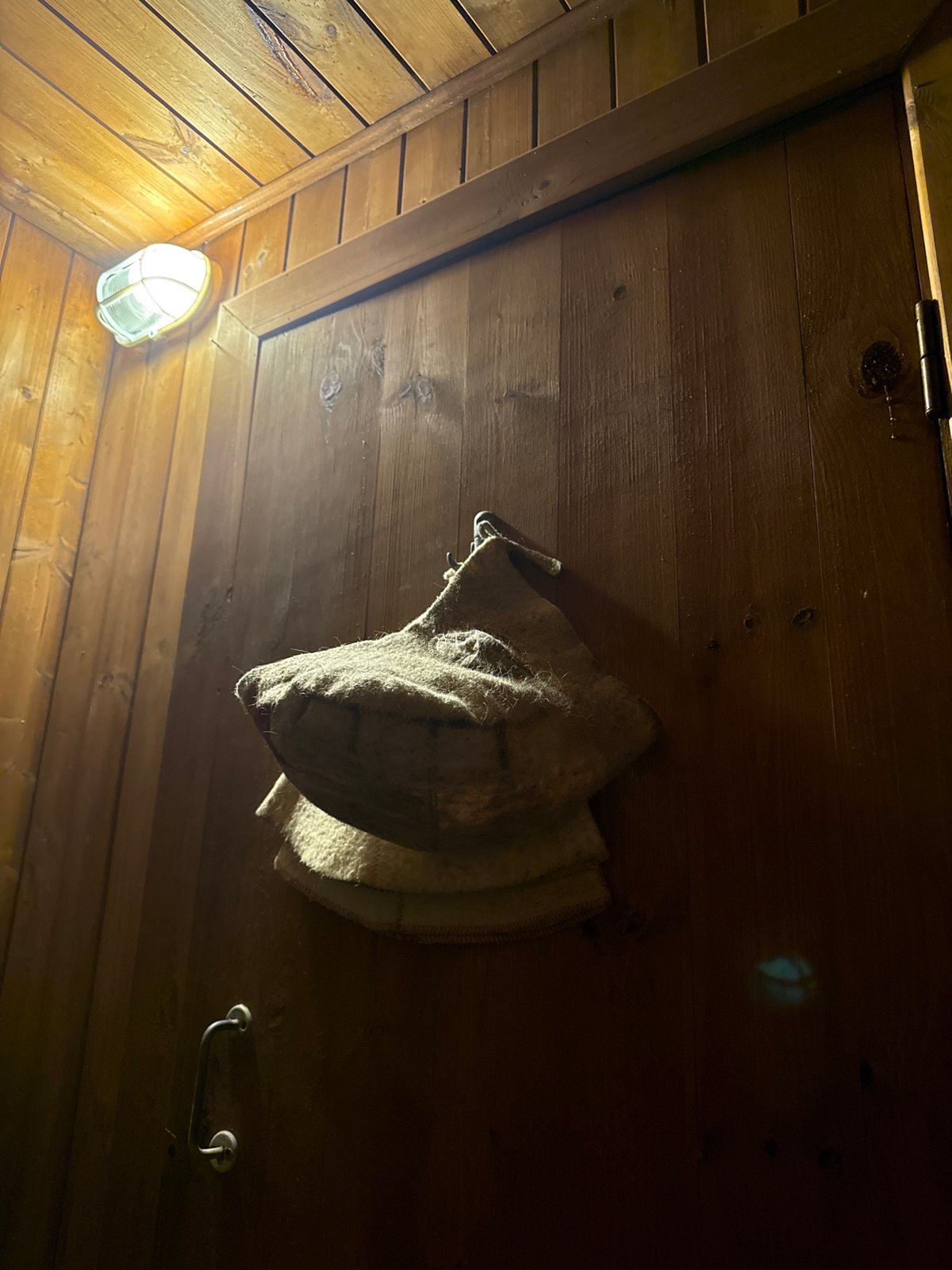 Traditional wooden sauna interior documented in Высокая Гора, Russia