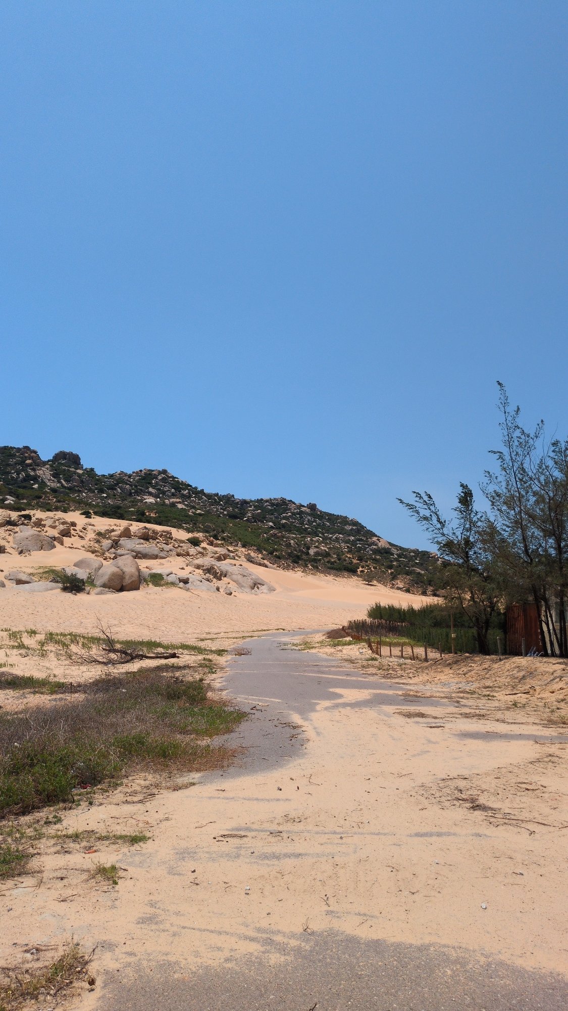 Early morning coastal road documentation in Phuoc Dinh, Vietnam