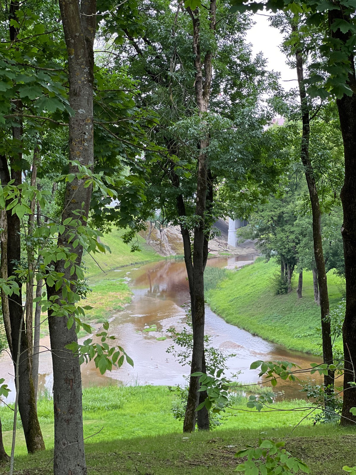 Vitebsk festival atmosphere: performers, fountains, and park scenes
