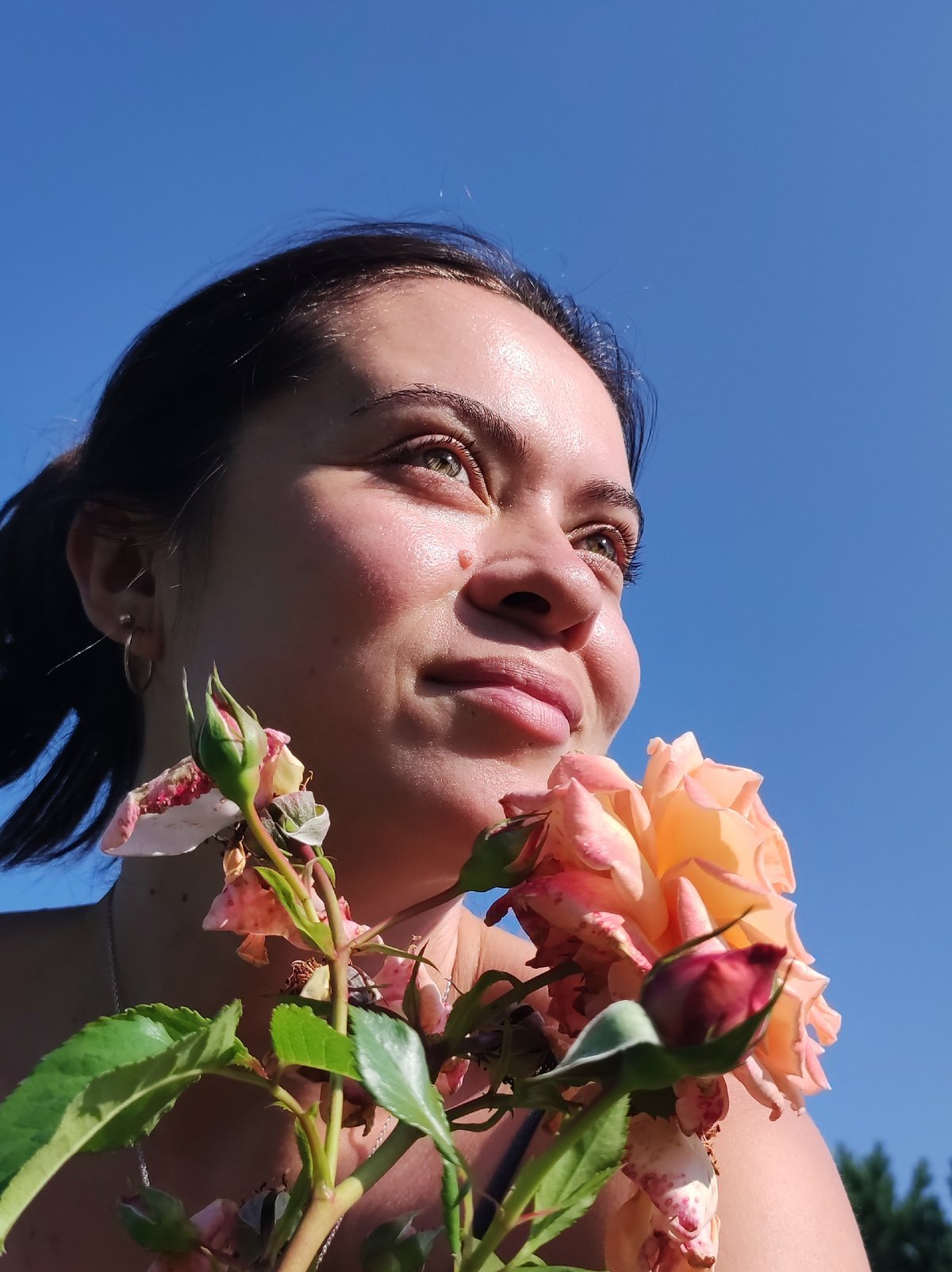 Poodle, roses, and backyard summer moments in rural Russia