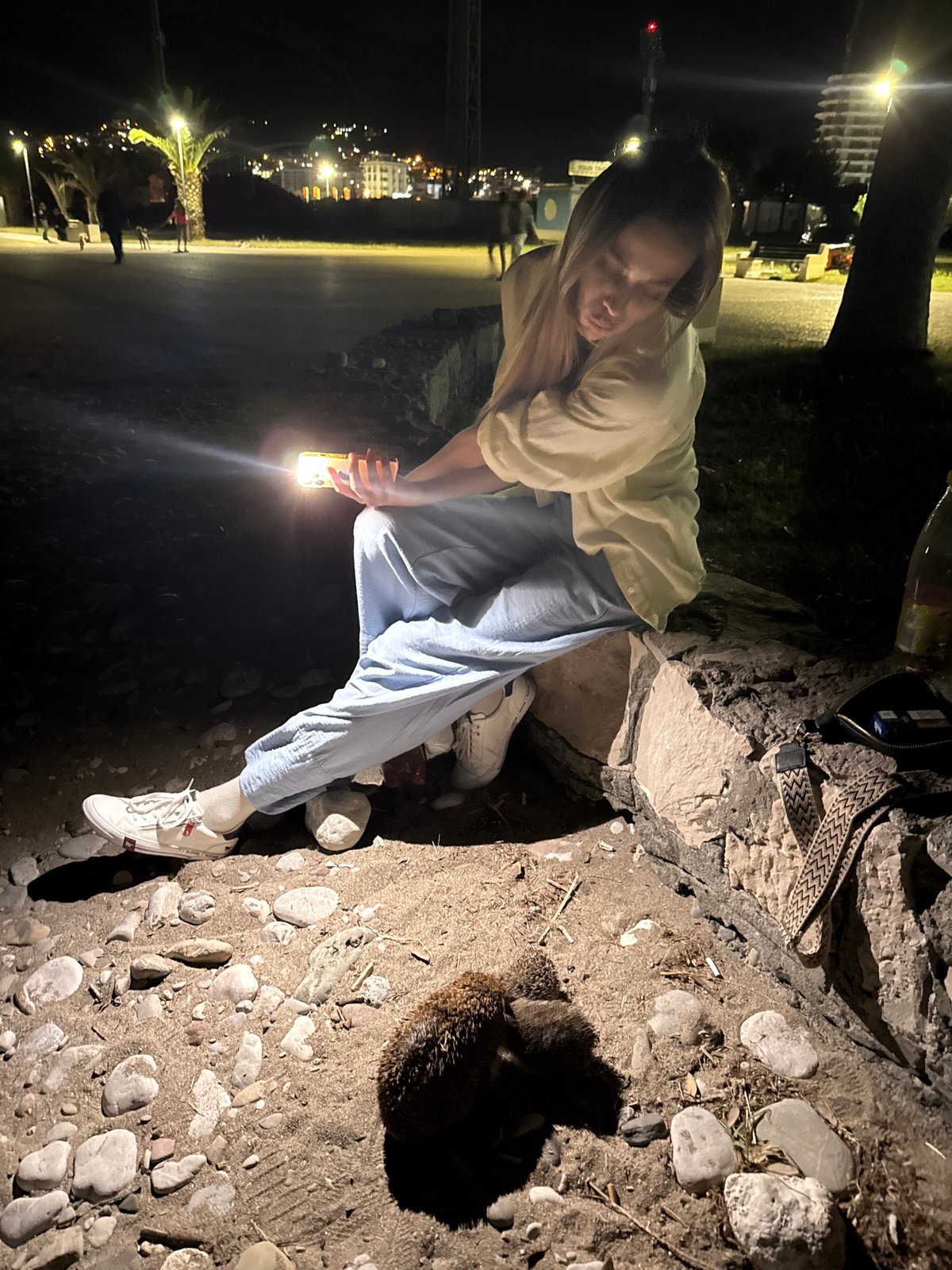Evening wildlife and sunset scenes documented in Bar, Montenegro