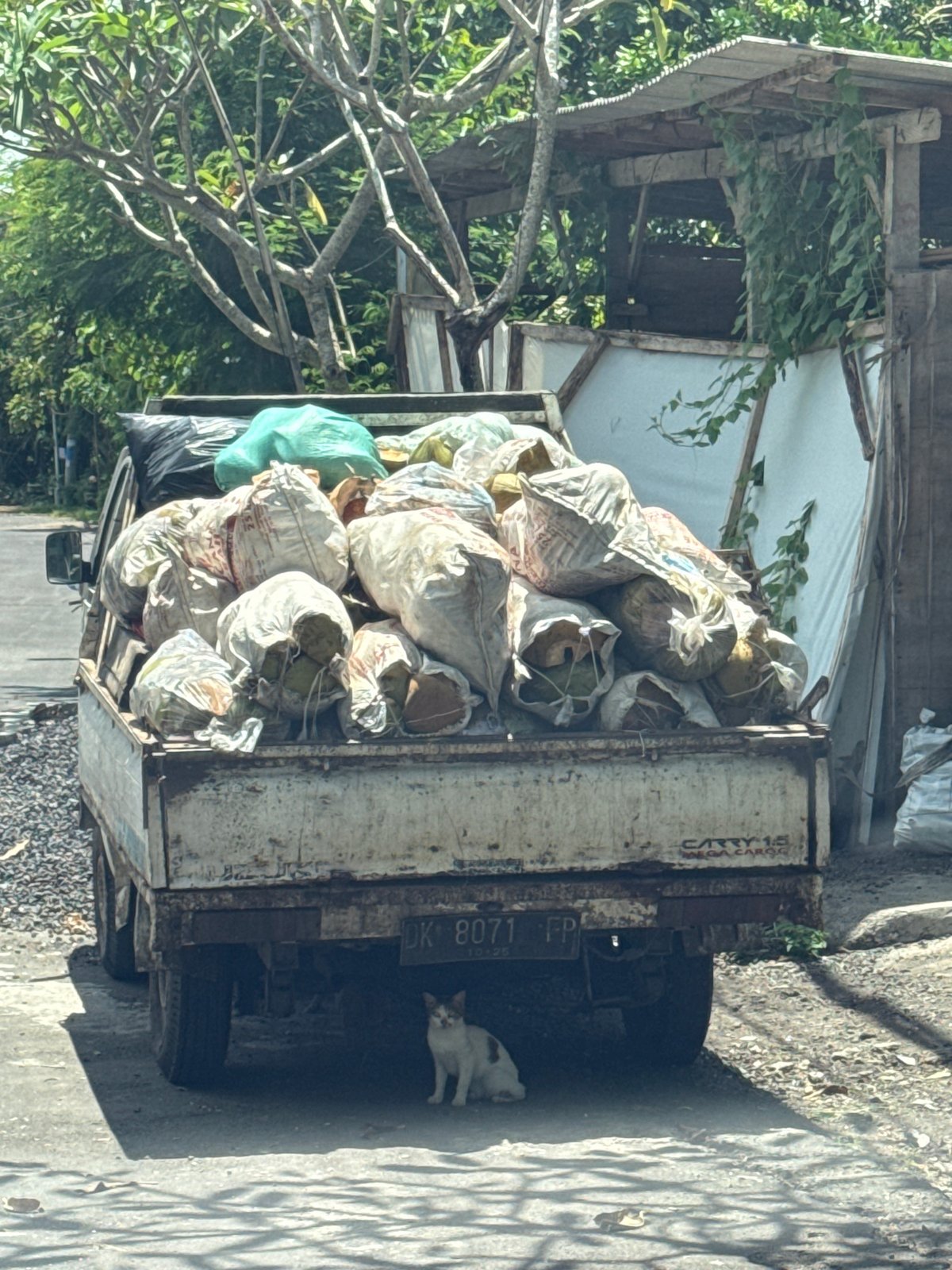 Commercial trucks spotted parked in Nusa Dua Indonesia
