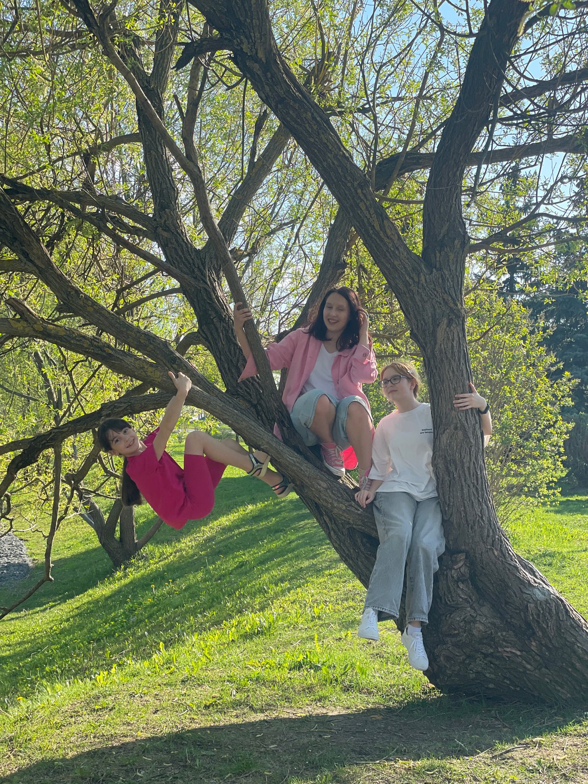 Young people climb willow tree in Moscow park