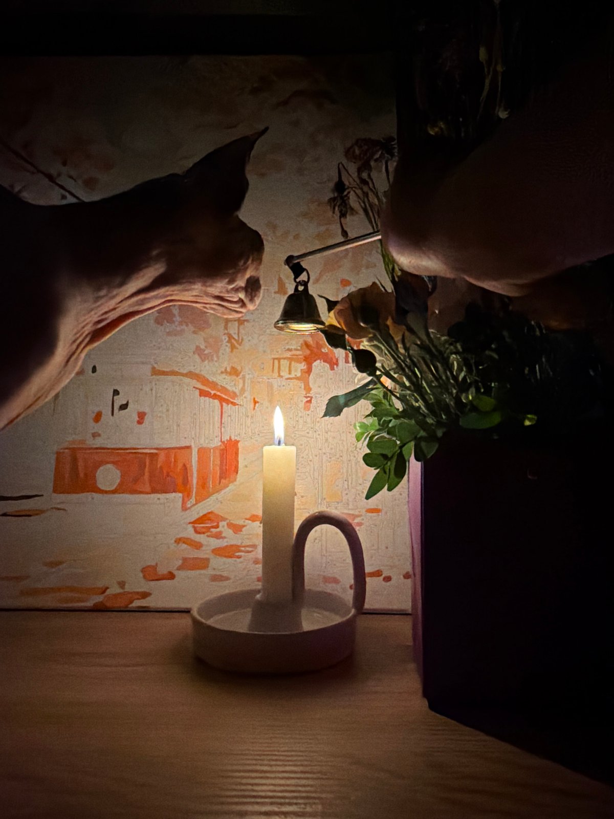 Sphynx cat shares candlelit evening with flowers and art