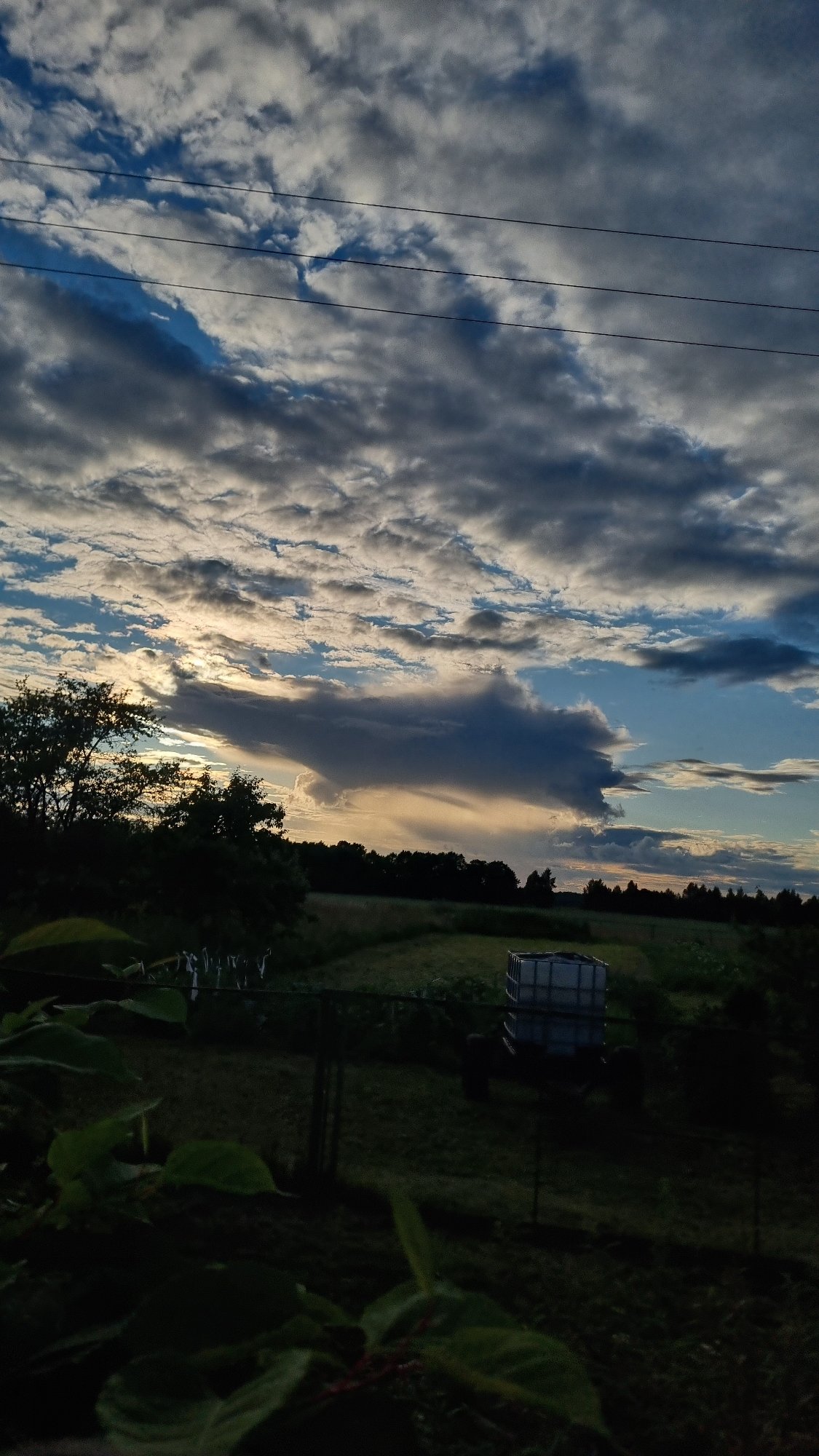 Scottish Fold cat dozes indoors while dramatic skies roll outside