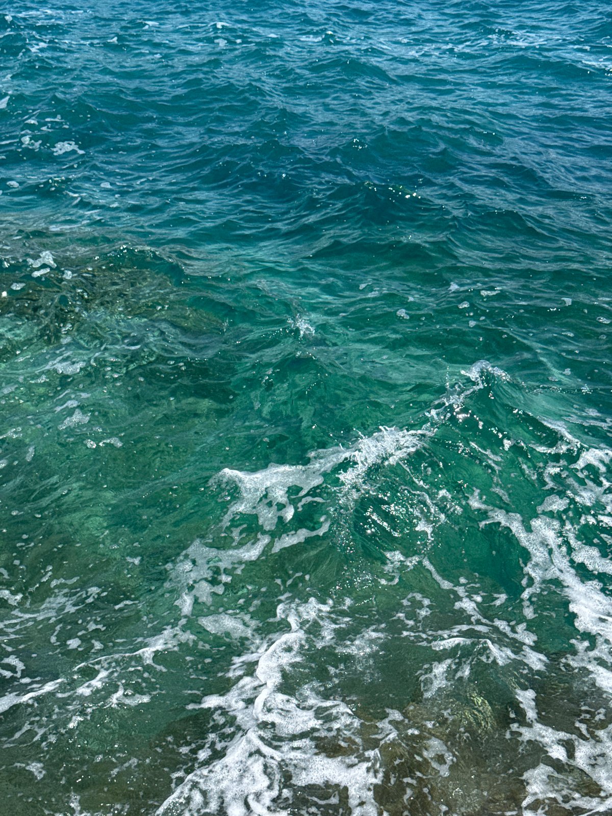 Adriatic coastline conditions documented near Prijevor, Montenegro