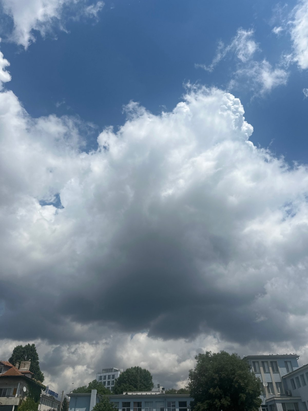 Shipyard cranes, city rooftops, and big summer skies