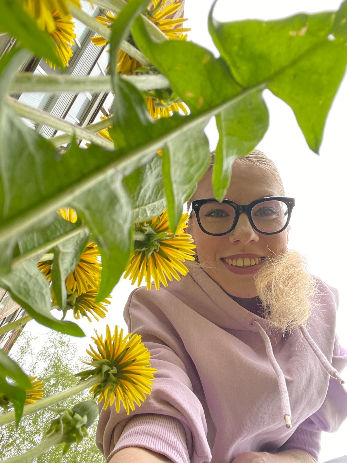 Spring dandelion gathering observed in Izhevsk park