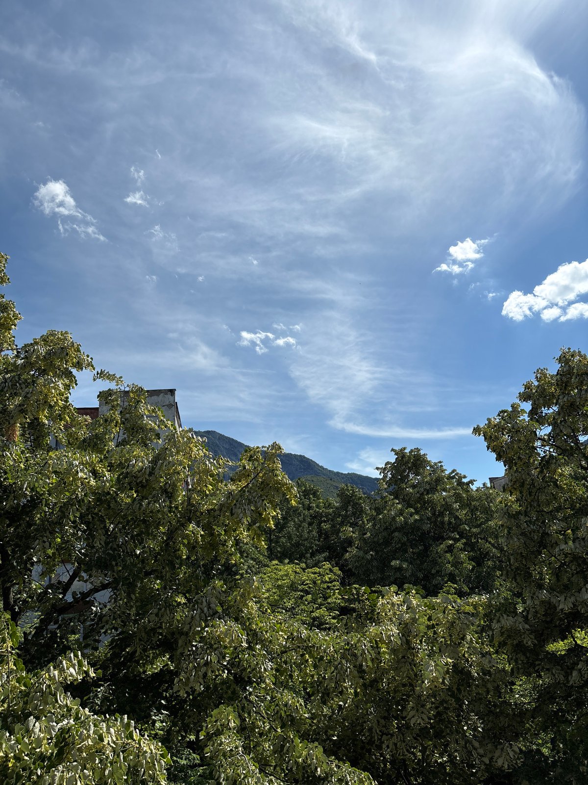 Lush treetop views over Vratsa with mountains in the background