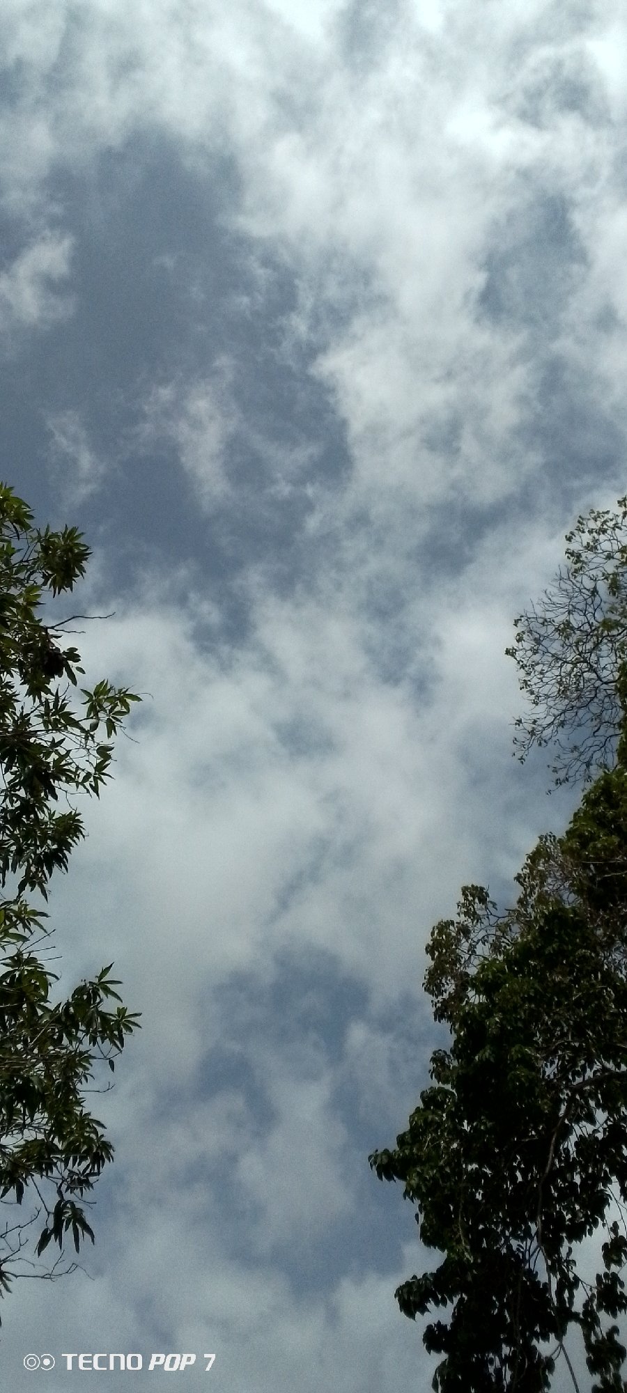 Sky-watching sequence captured in Altagracia Venezuela over ten minutes